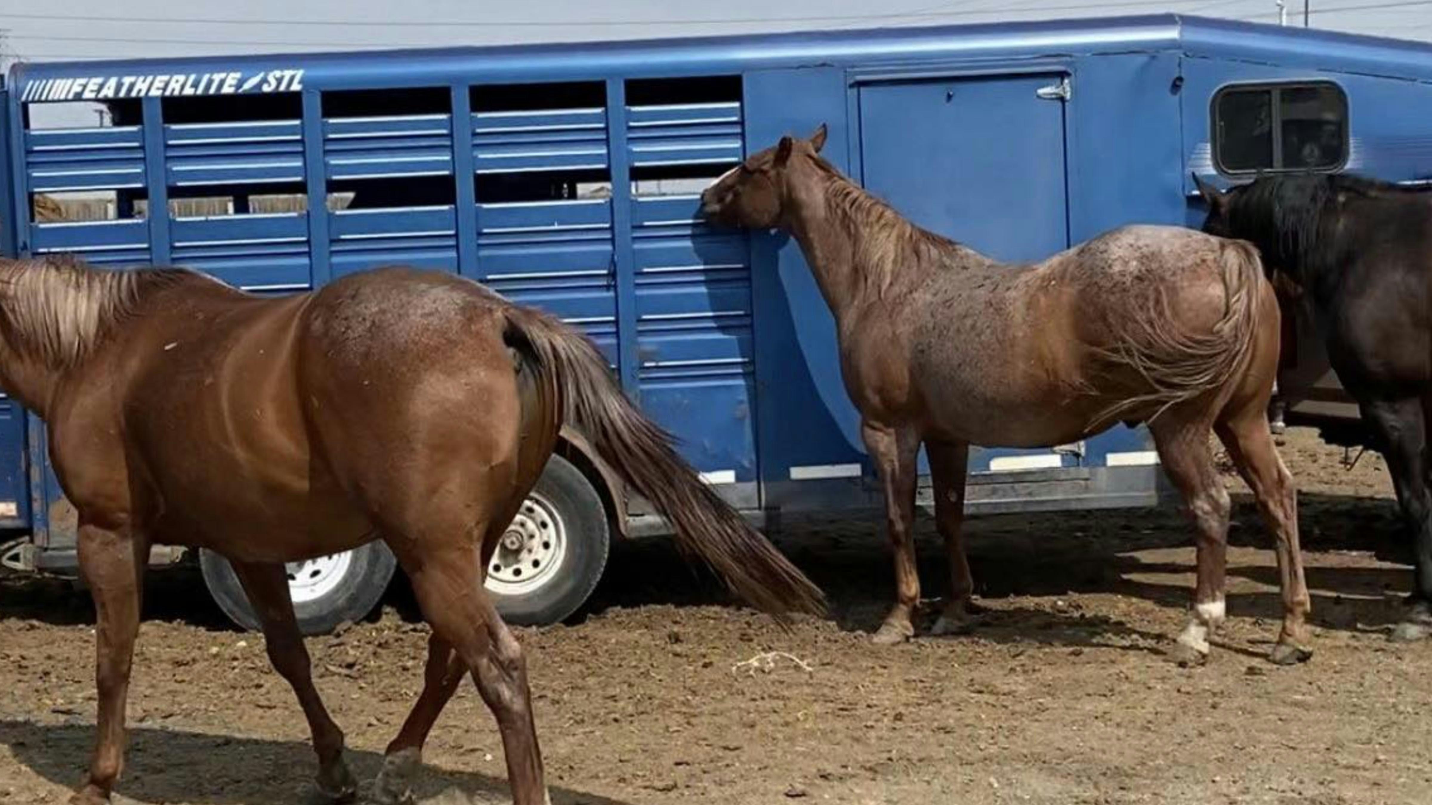 Brittany Miller's stolen trailer