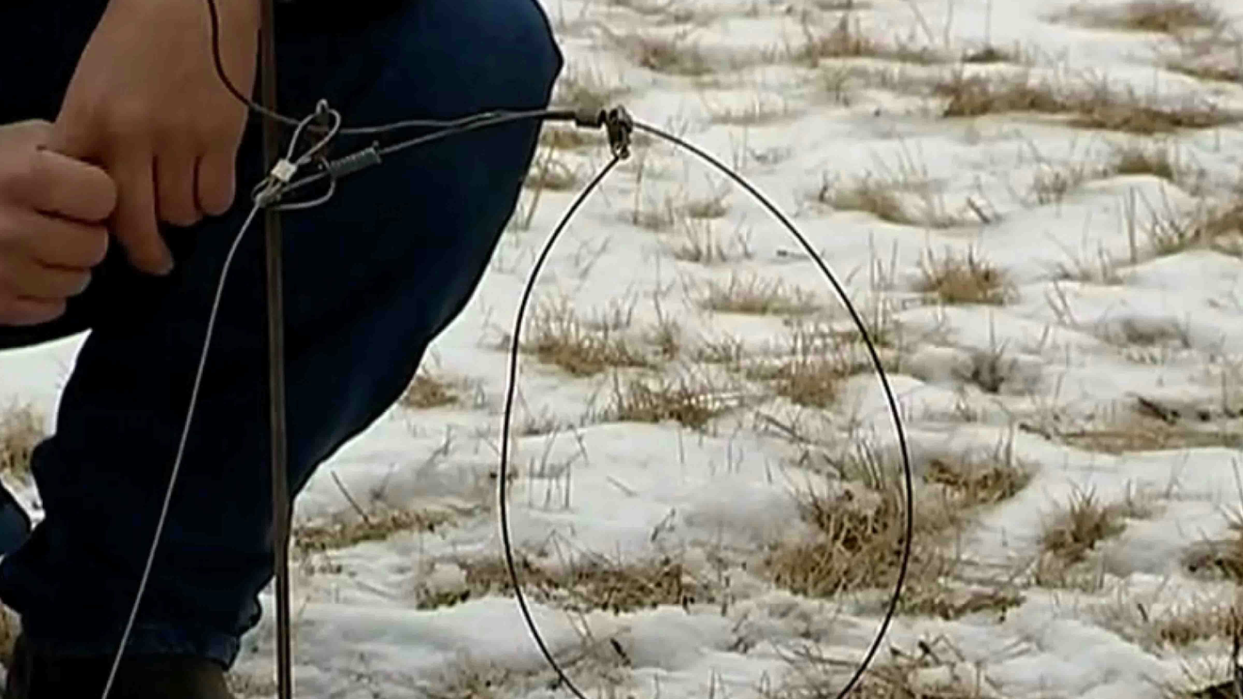 Trapping industry 12 2 24