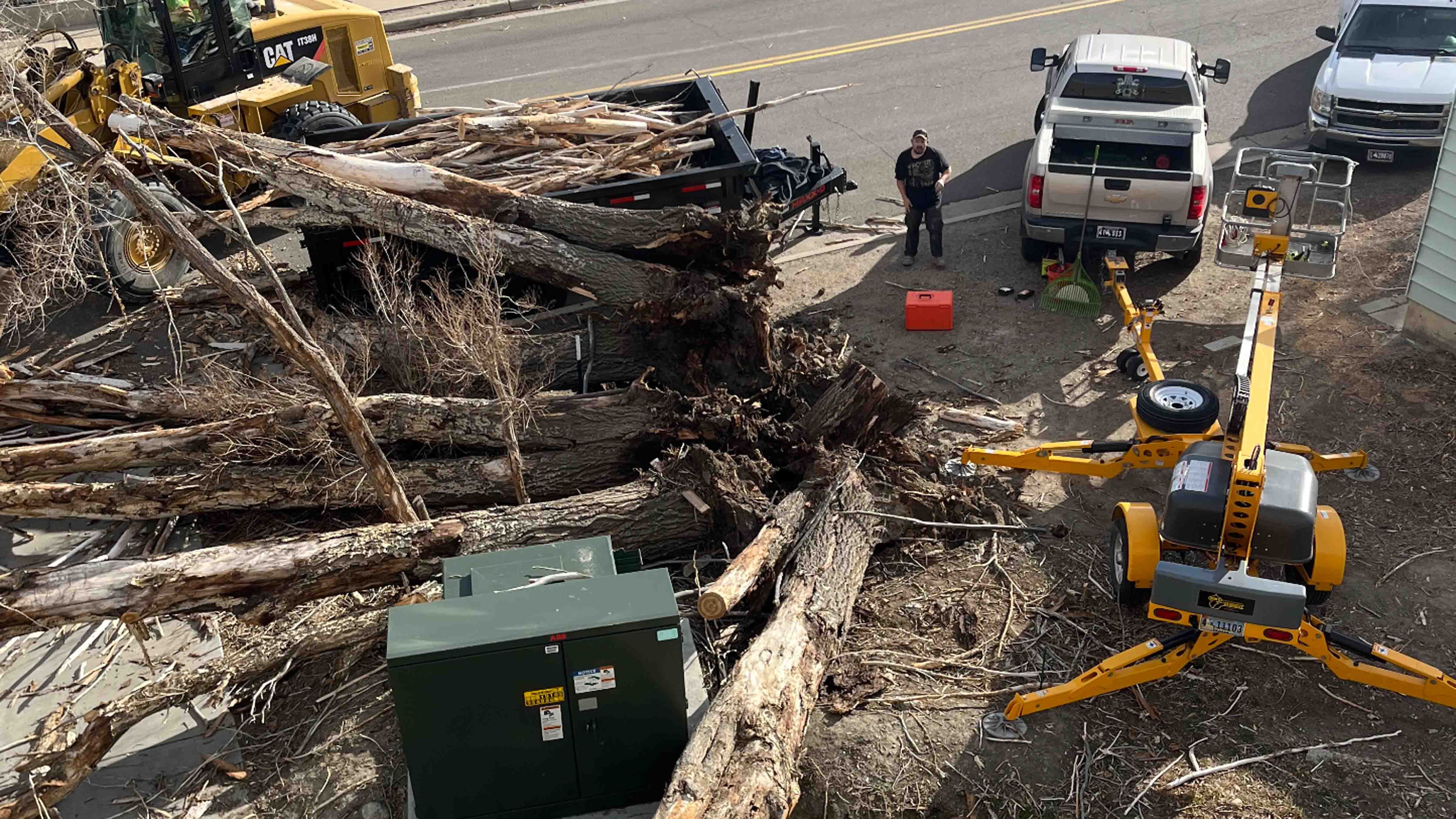 Tree broadway 2 12 10 25