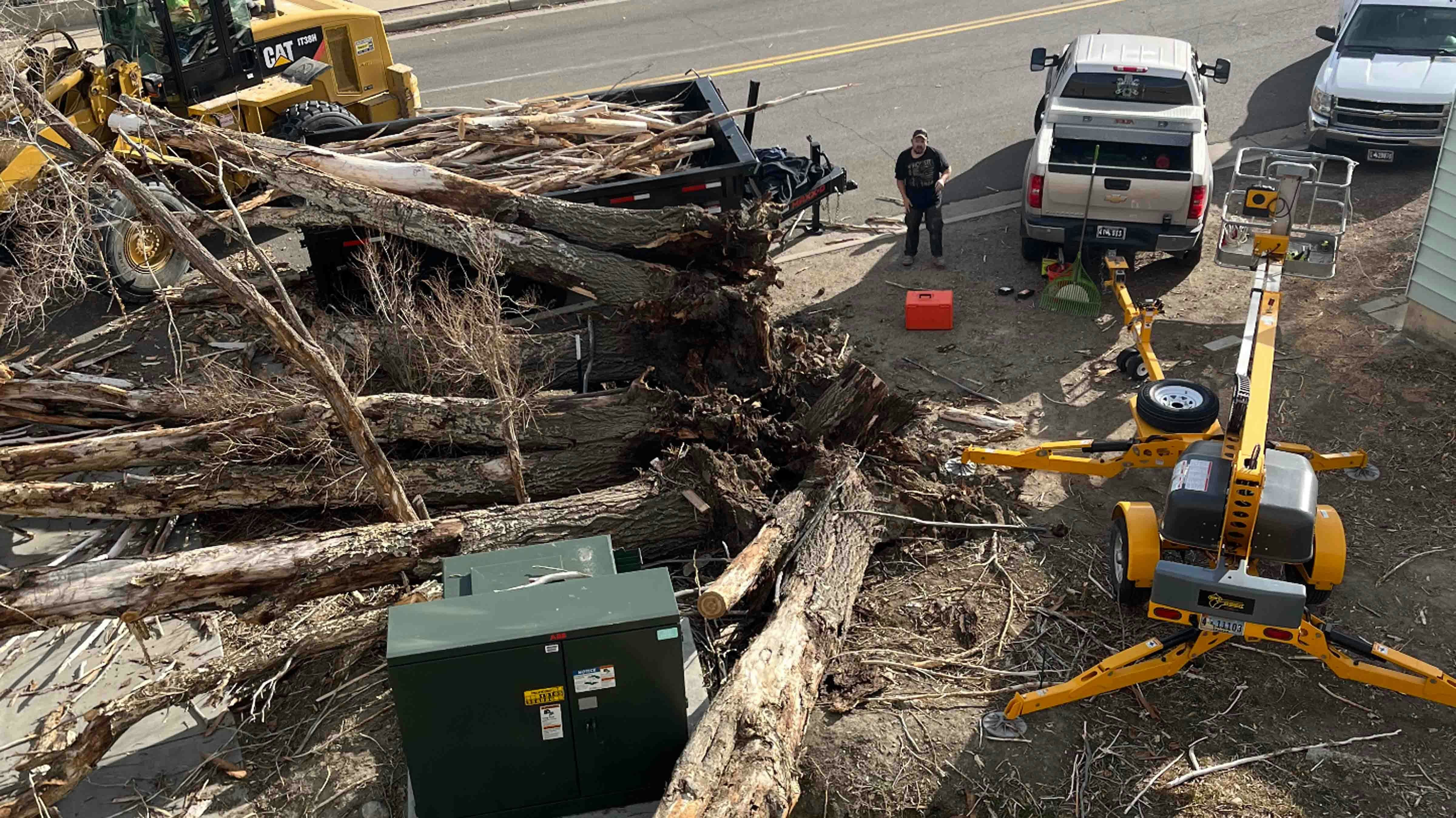 Tree broadway 2 12 10 25