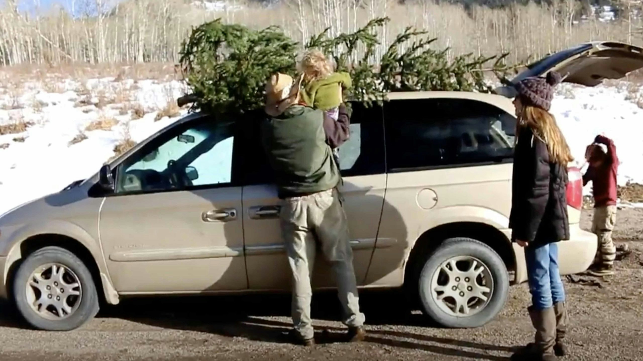 Tree chop 11 16 22 scaled