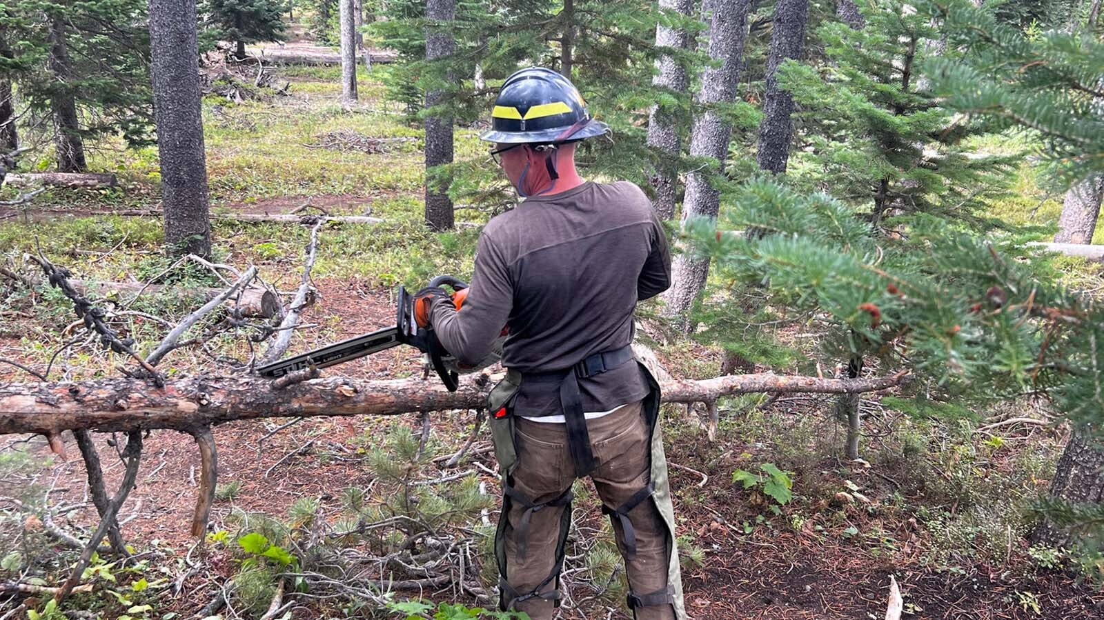 Keeping Wyoming hiking and biking trails clear of fallen trees often falls to volunteers from local organizations. One such group is the Central Wyoming Trails Alliance – which maintains the Casper Mountain trail network.