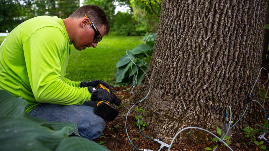 Tree injection 4 16 23