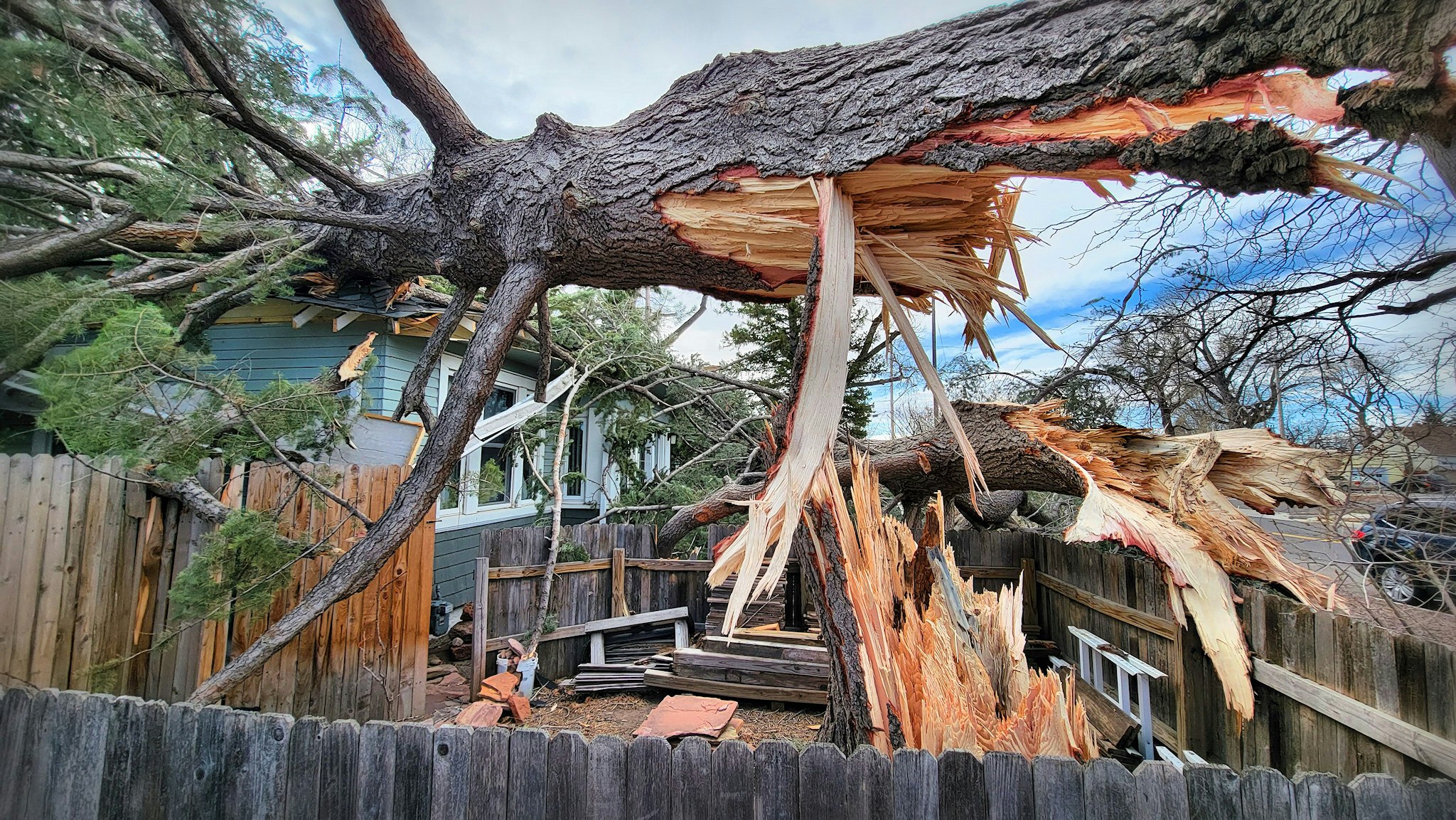A tree described as "the biggest pine tree in Cheyenne" was felled onto a house over the weekend due to the early April wind storm.