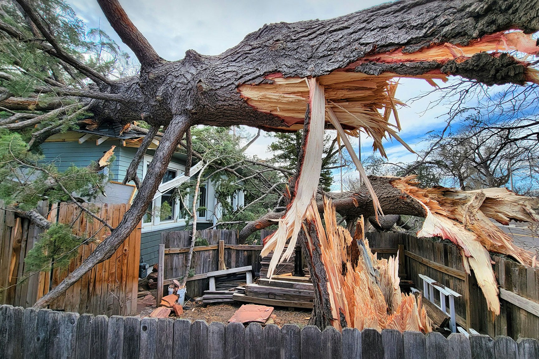 A tree described as "the biggest pine tree in Cheyenne" was felled onto a house over the weekend due to the early April wind storm.