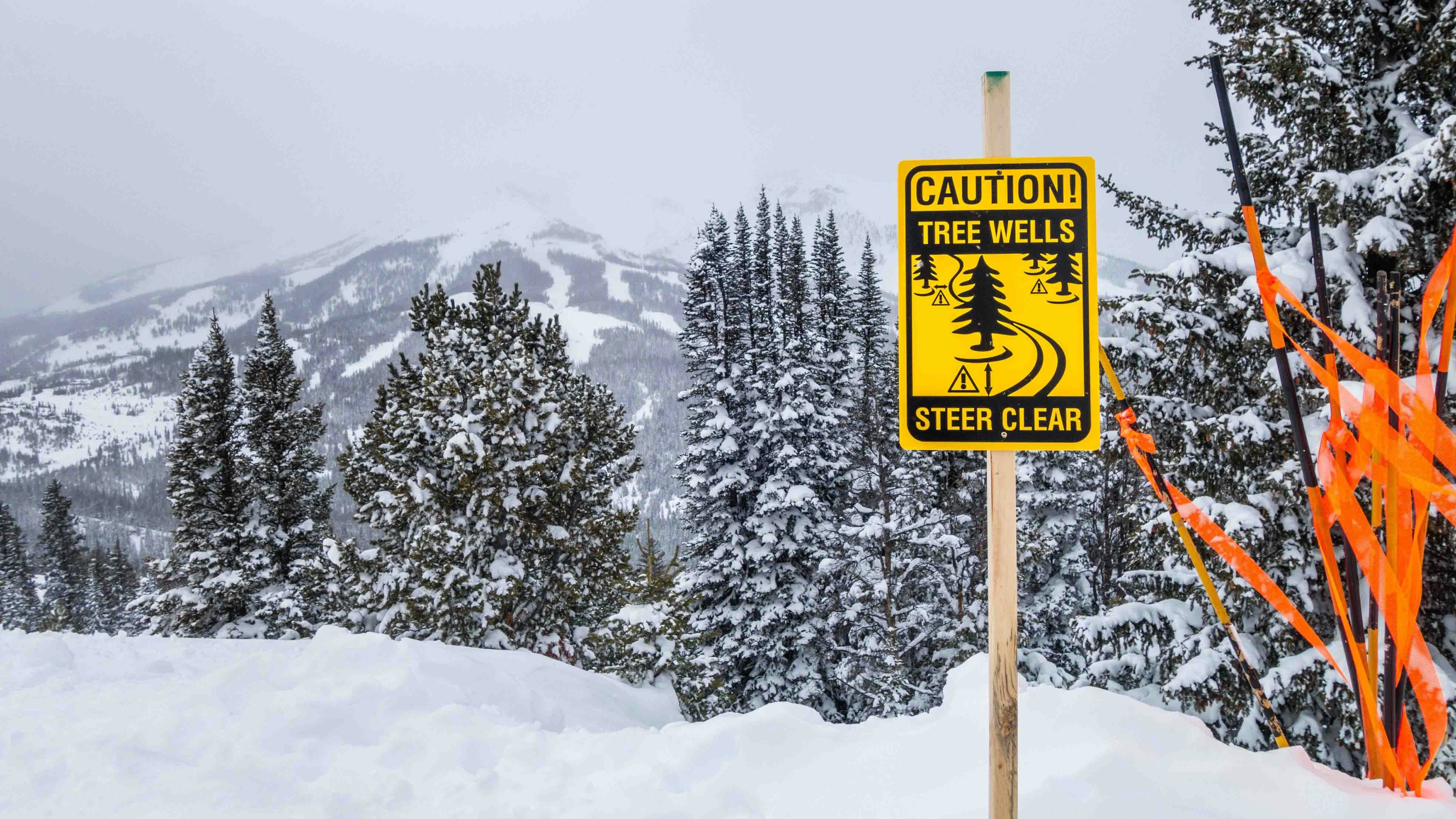 Tree well sign 2 2 19 24