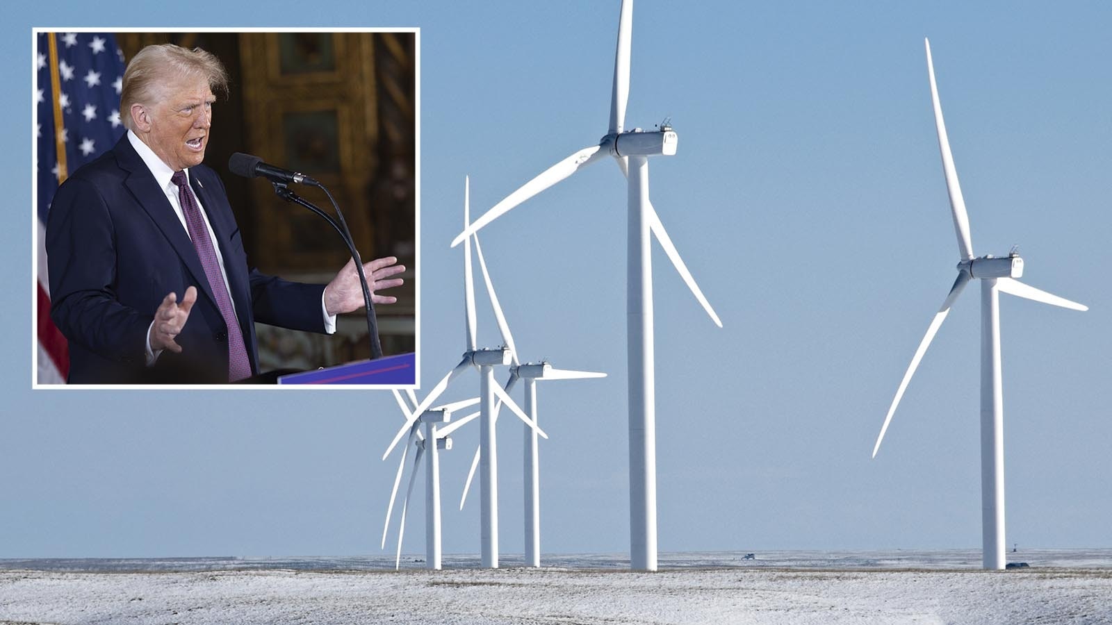 Trump and turbines 1 8 25