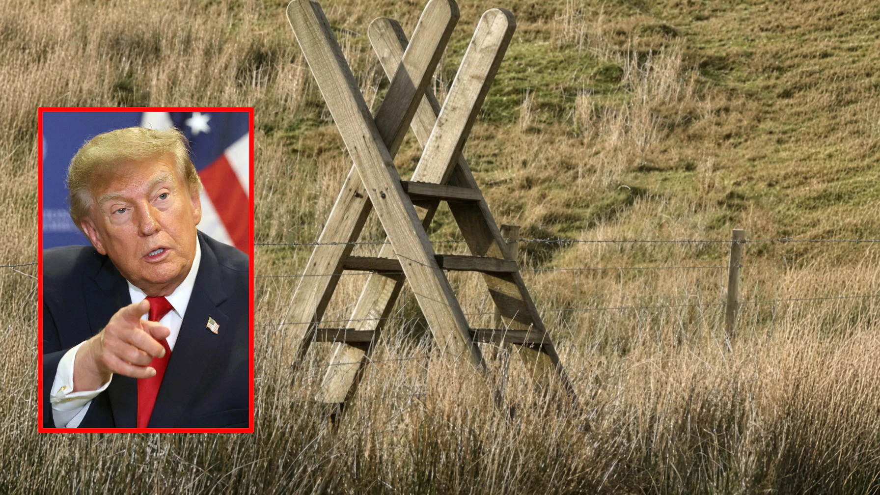 Trump ladders 9 22 26