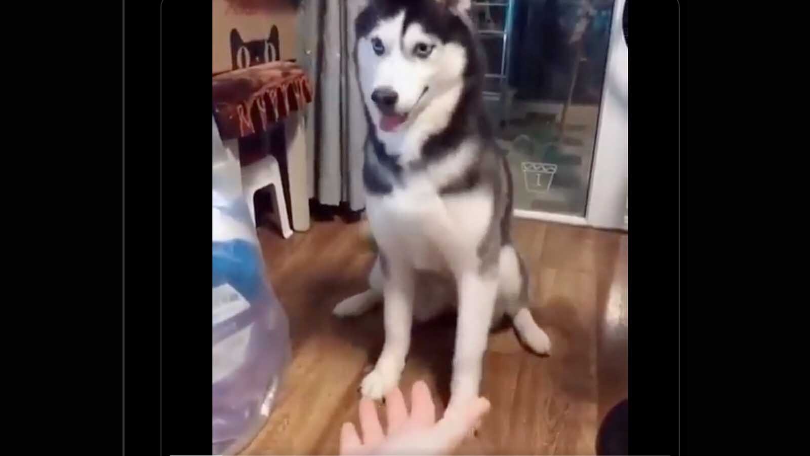 Tuesday smile 10 25 22