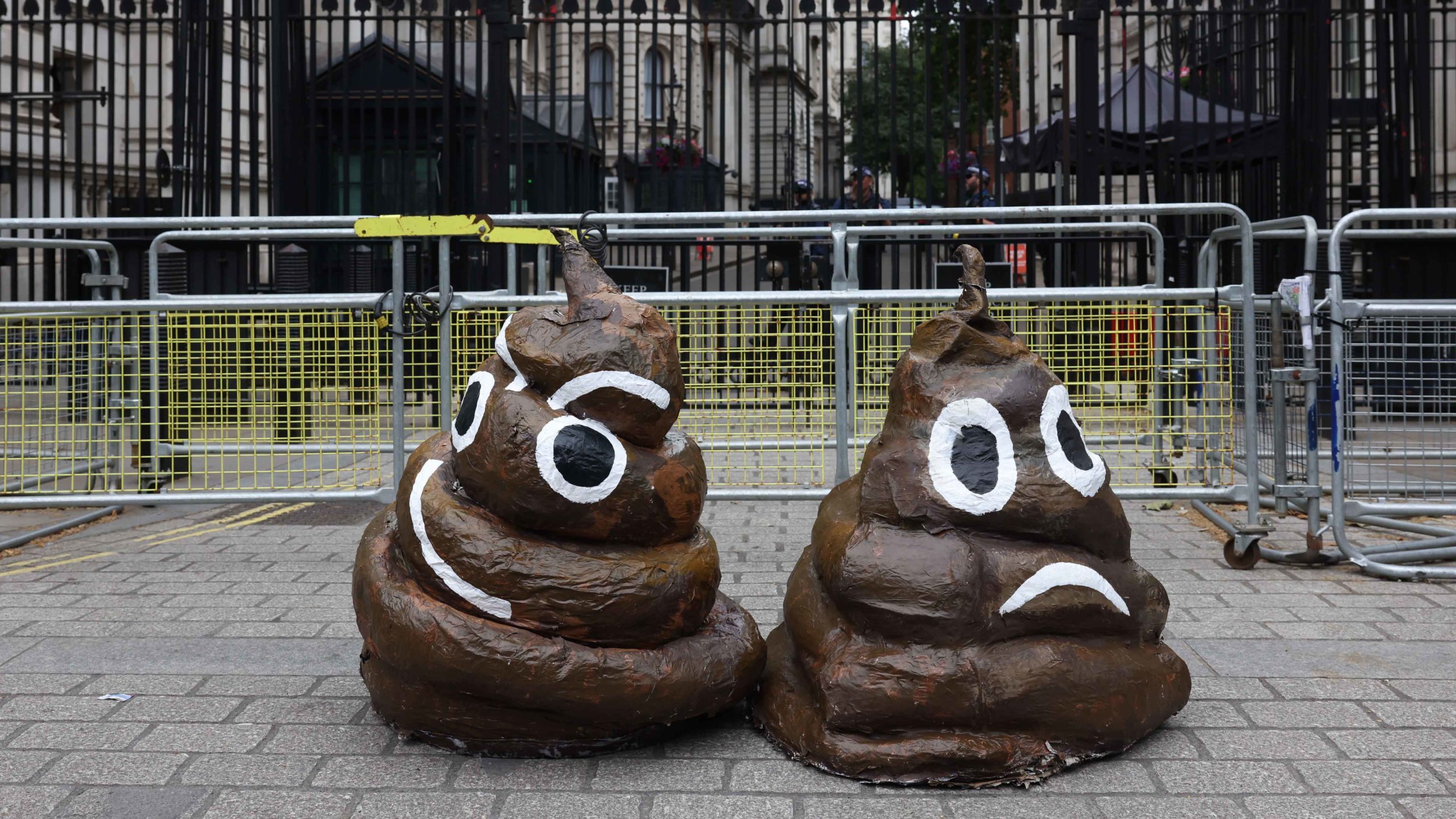 Turds 12 29 22 scaled