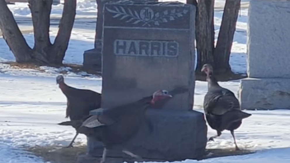 Turkey gravestone 2 2 17 25