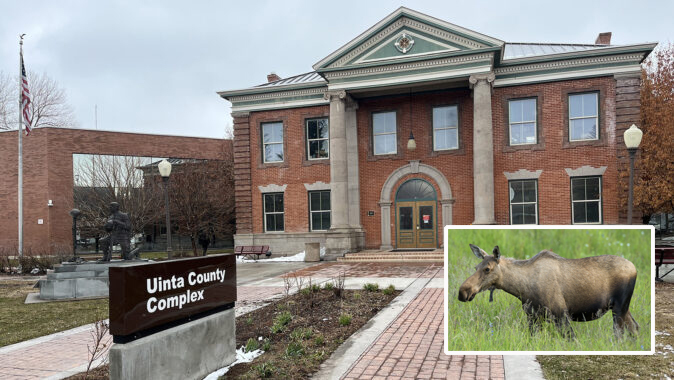 Roping and riding a terrorized cow moose and then roping and dragging it gave cowboys on a Uinta County ranch enough of a thrill to capture the event on video. Now those videos are being used to charge the trio with felony violations for cruelty to animals.