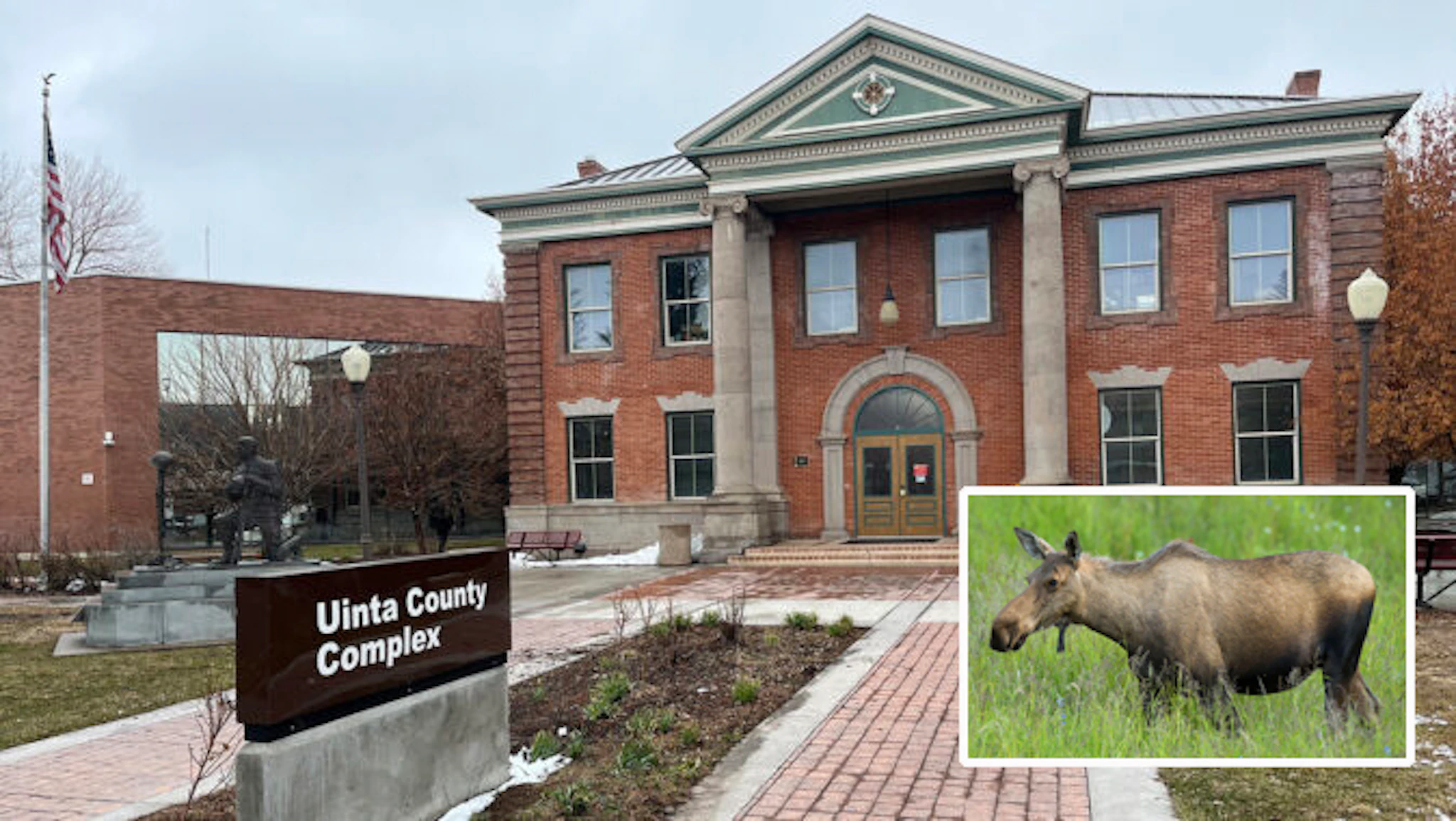 Cowboys Charged In Felony Animal Abuse Case For Roping, Riding ...