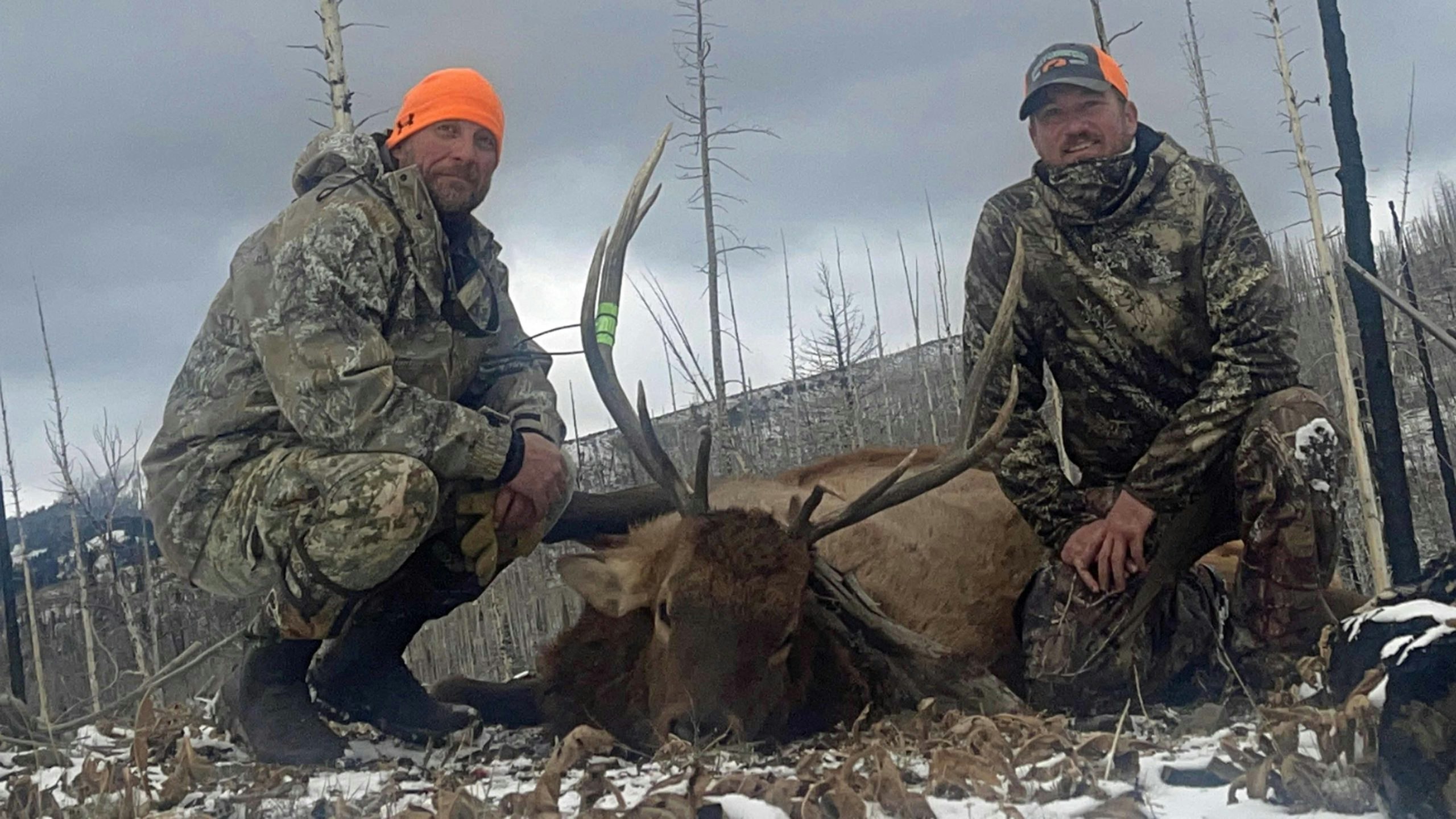 Ulrich 7 28 22 scaled