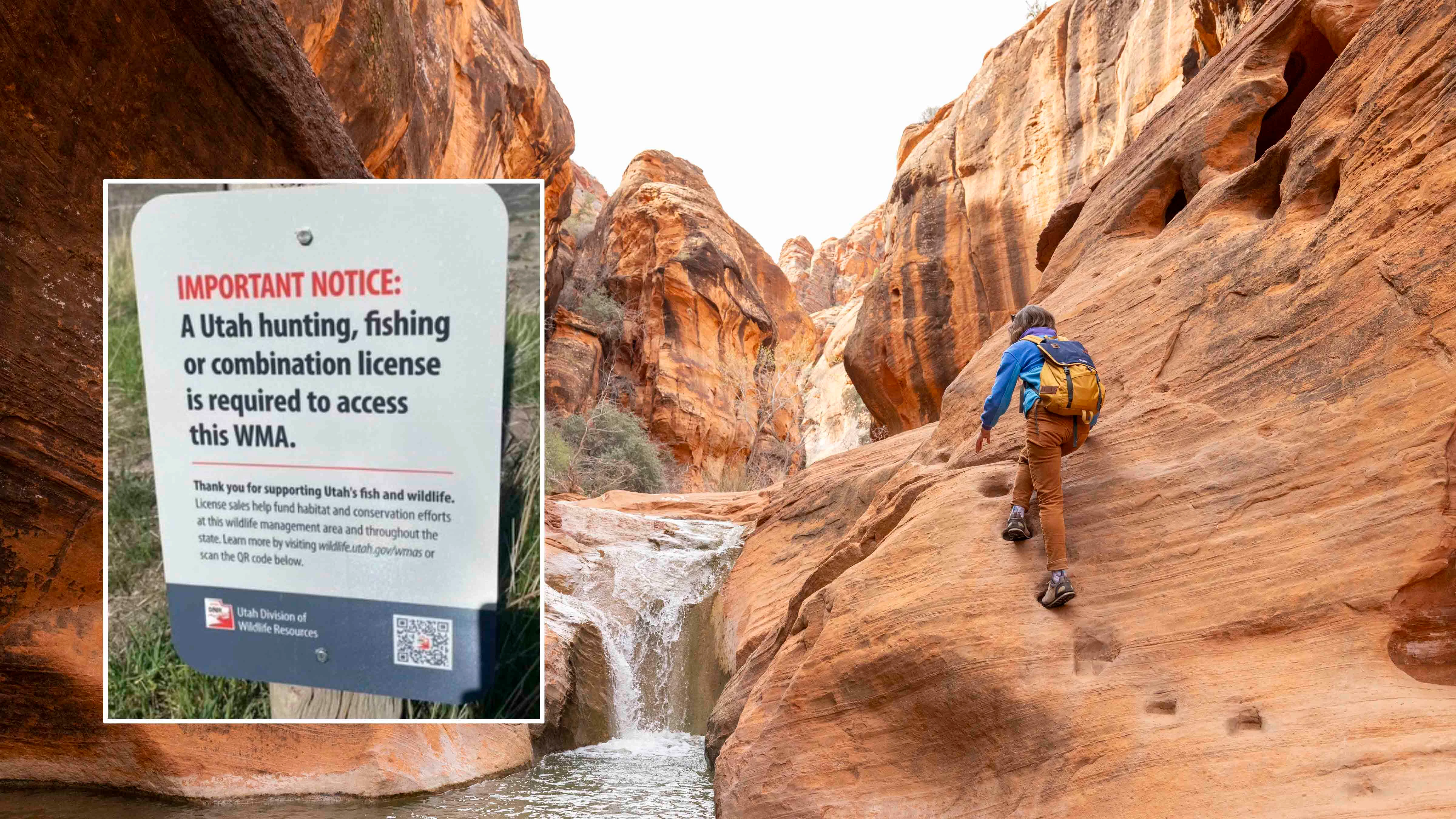 Utah hunting fishing license 3 20 26