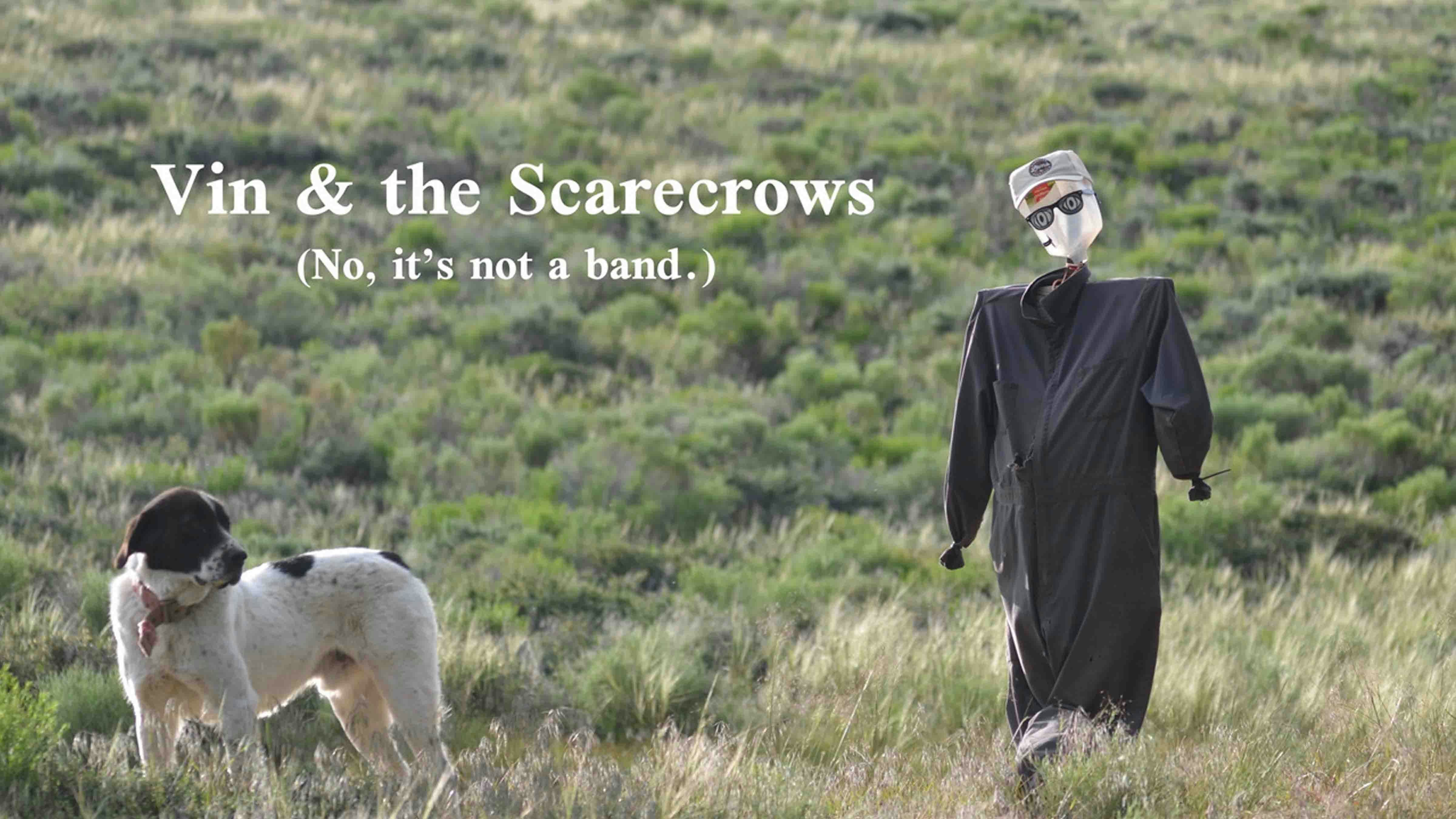 Vin scarecrows 2 6 27 23