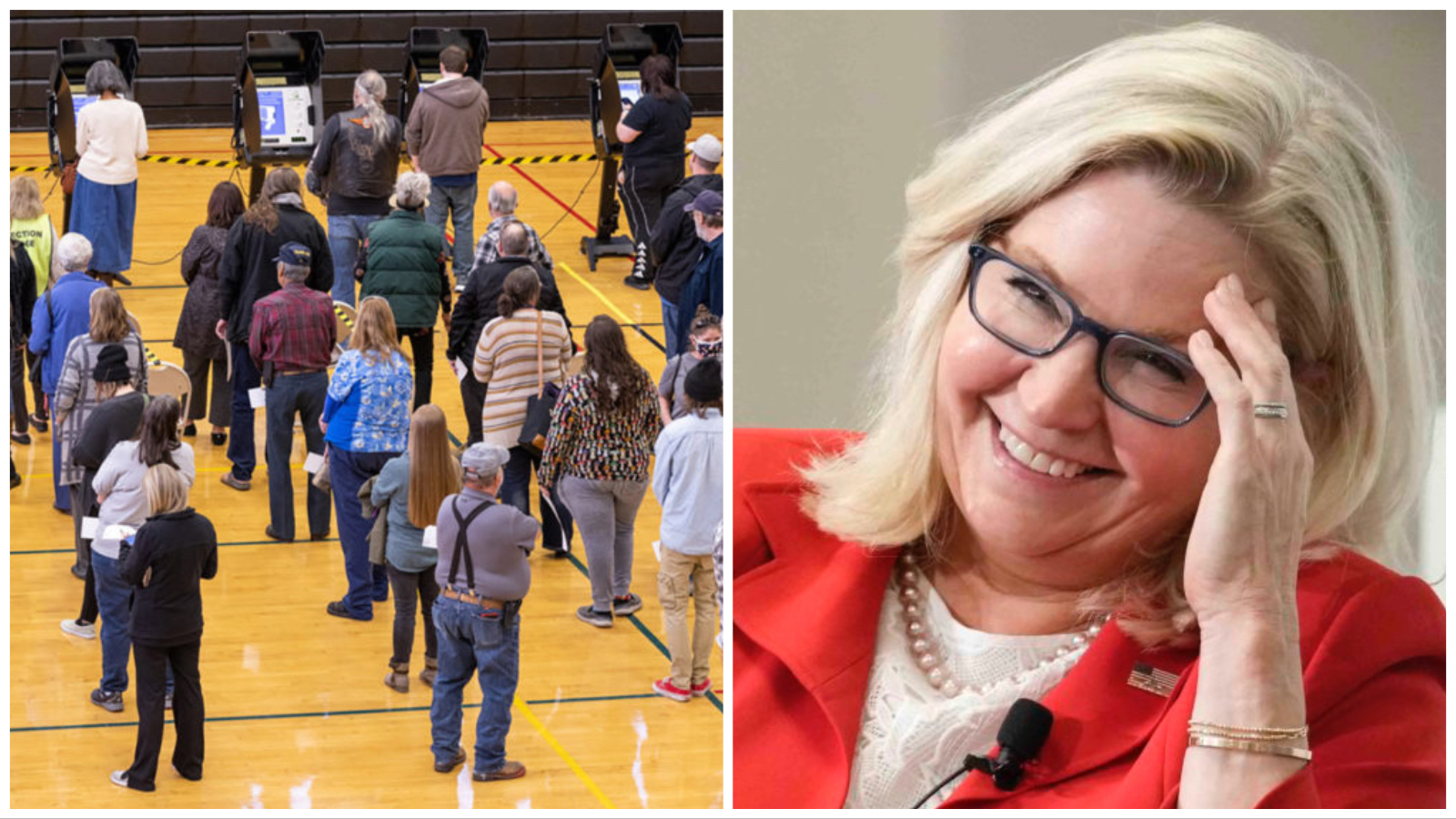 Voting and cheney 3 7 23