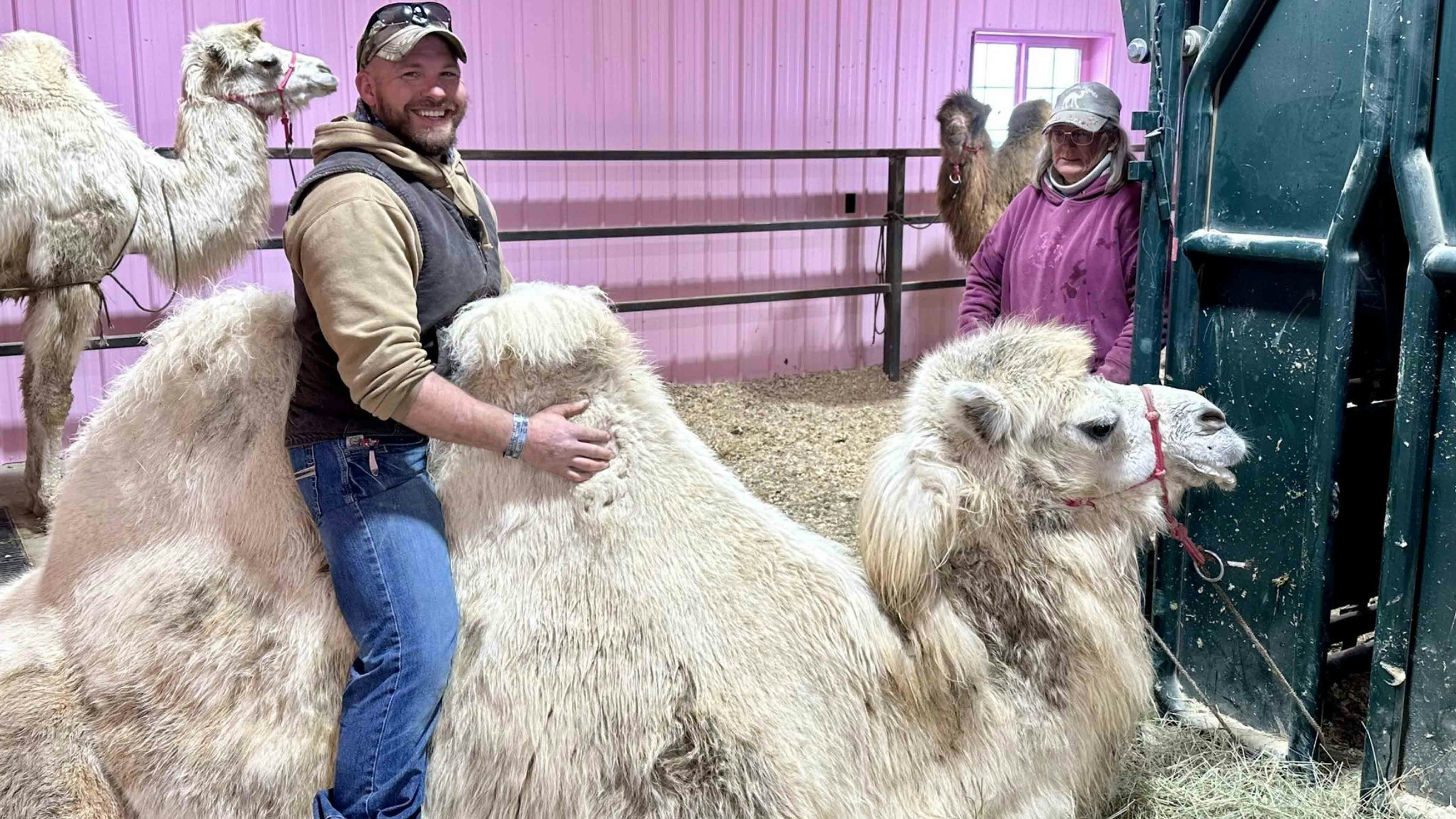 Wade Wohl, who is sitting on one of Jeffree Star's camels, is the Star Yak Ranch manager.
