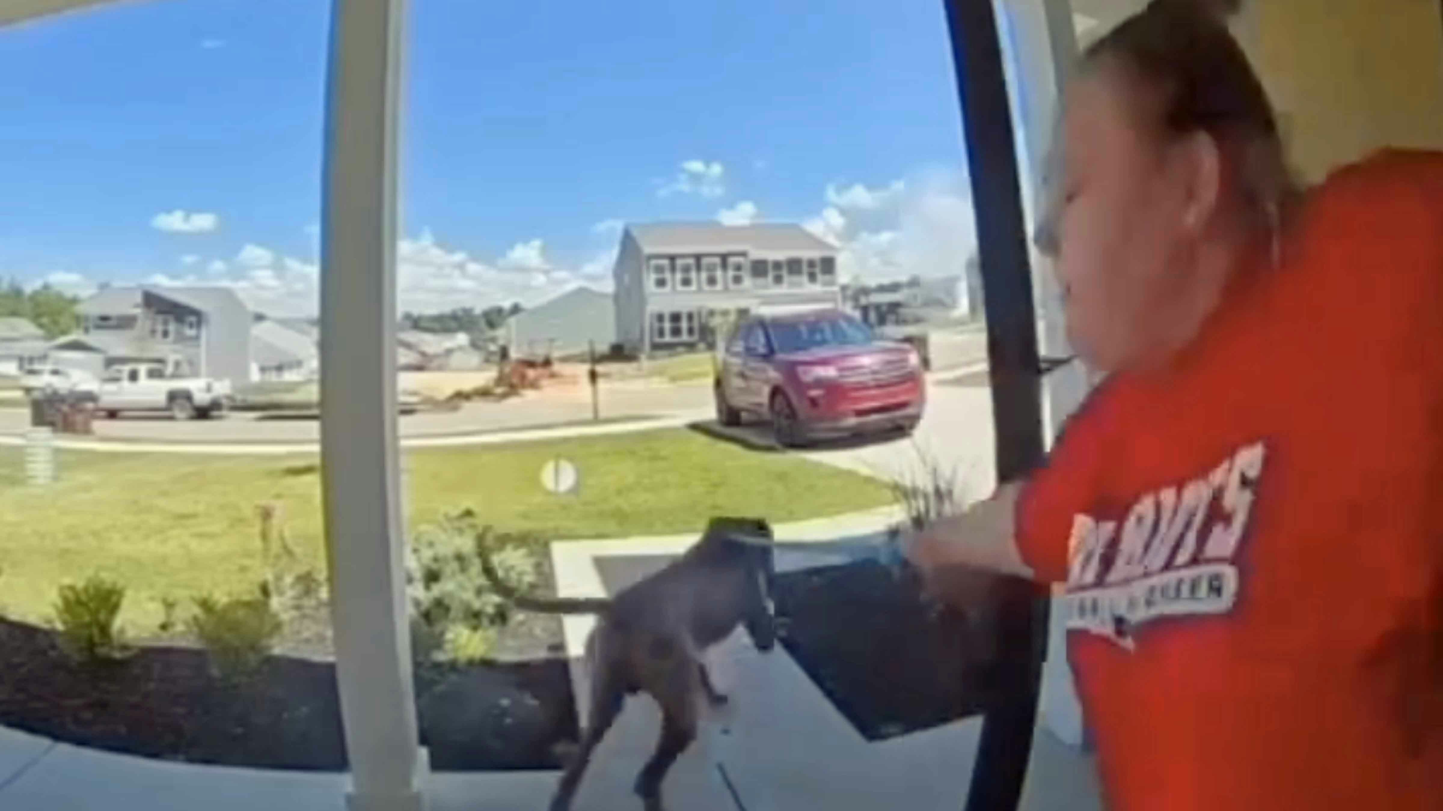 Walking the dog 10 30 25