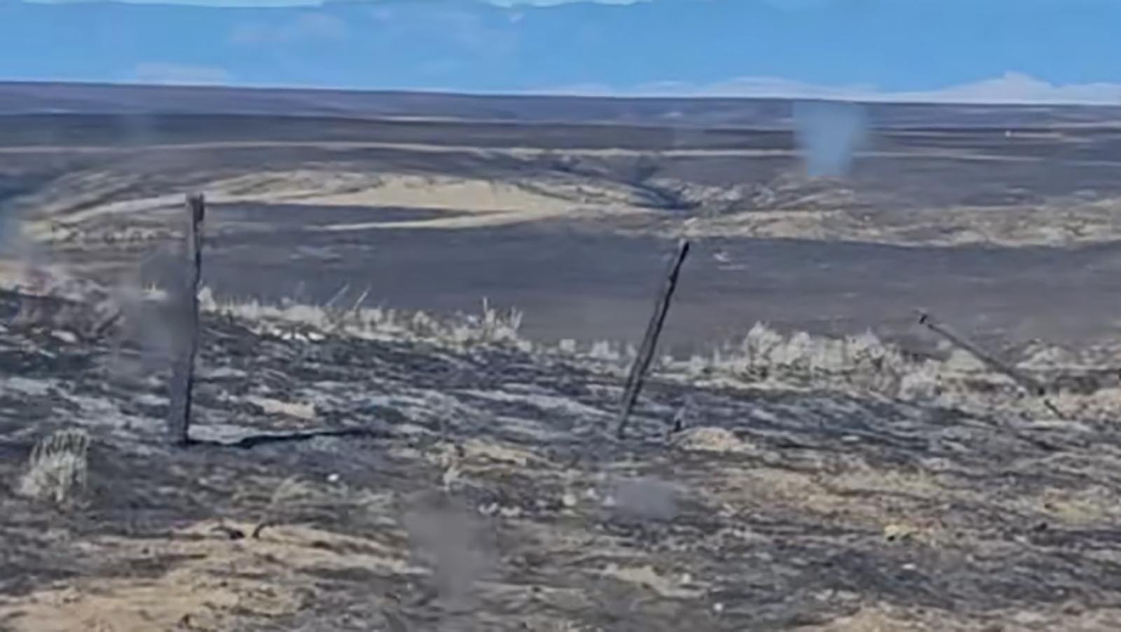 There’s worry that as burned-out areas of northern Wyoming grow back, invasive weeds could choke out the native forage that big game herds need to survive the winter.