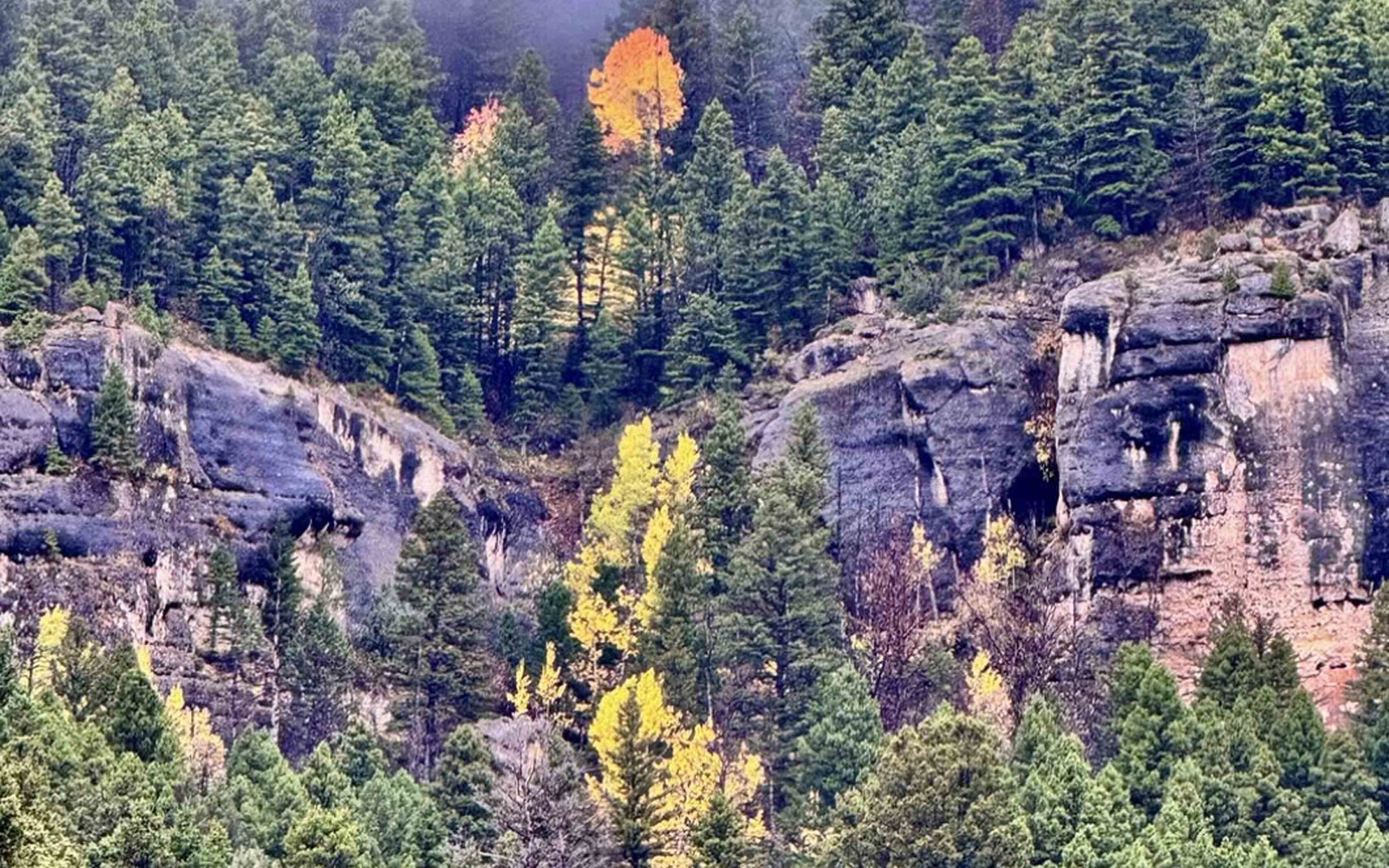 Waterfall leaves 10 18 25