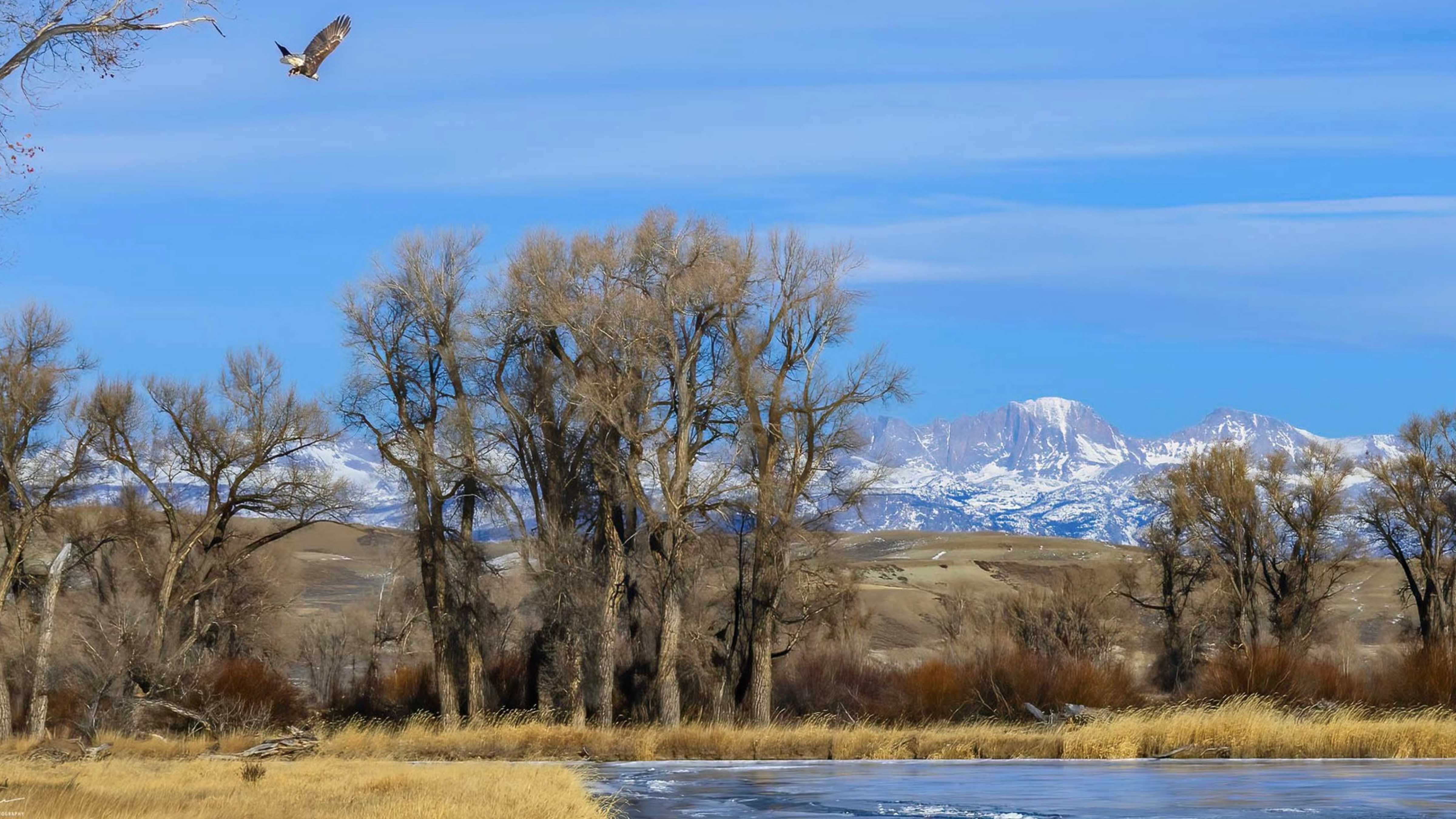The Green River at Seven Mile River Ranch in Sublette County
