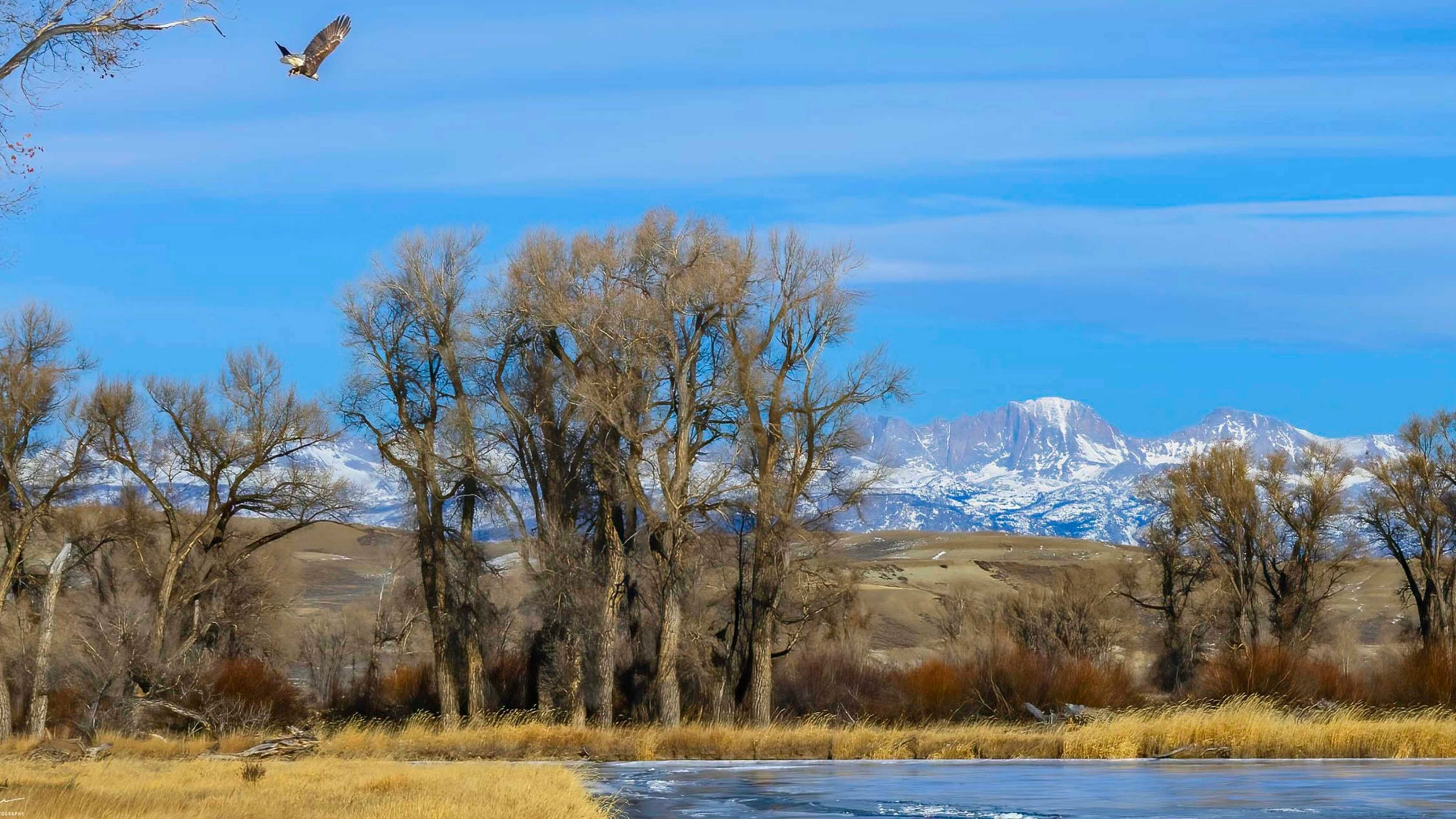 The Green River at Seven Mile River Ranch in Sublette County
