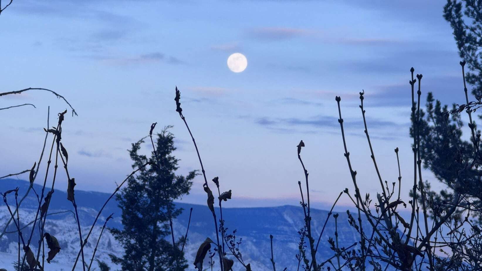 "Early evening moonrise over Wapiti Valley. Beautiful balmy evening... Cheers."