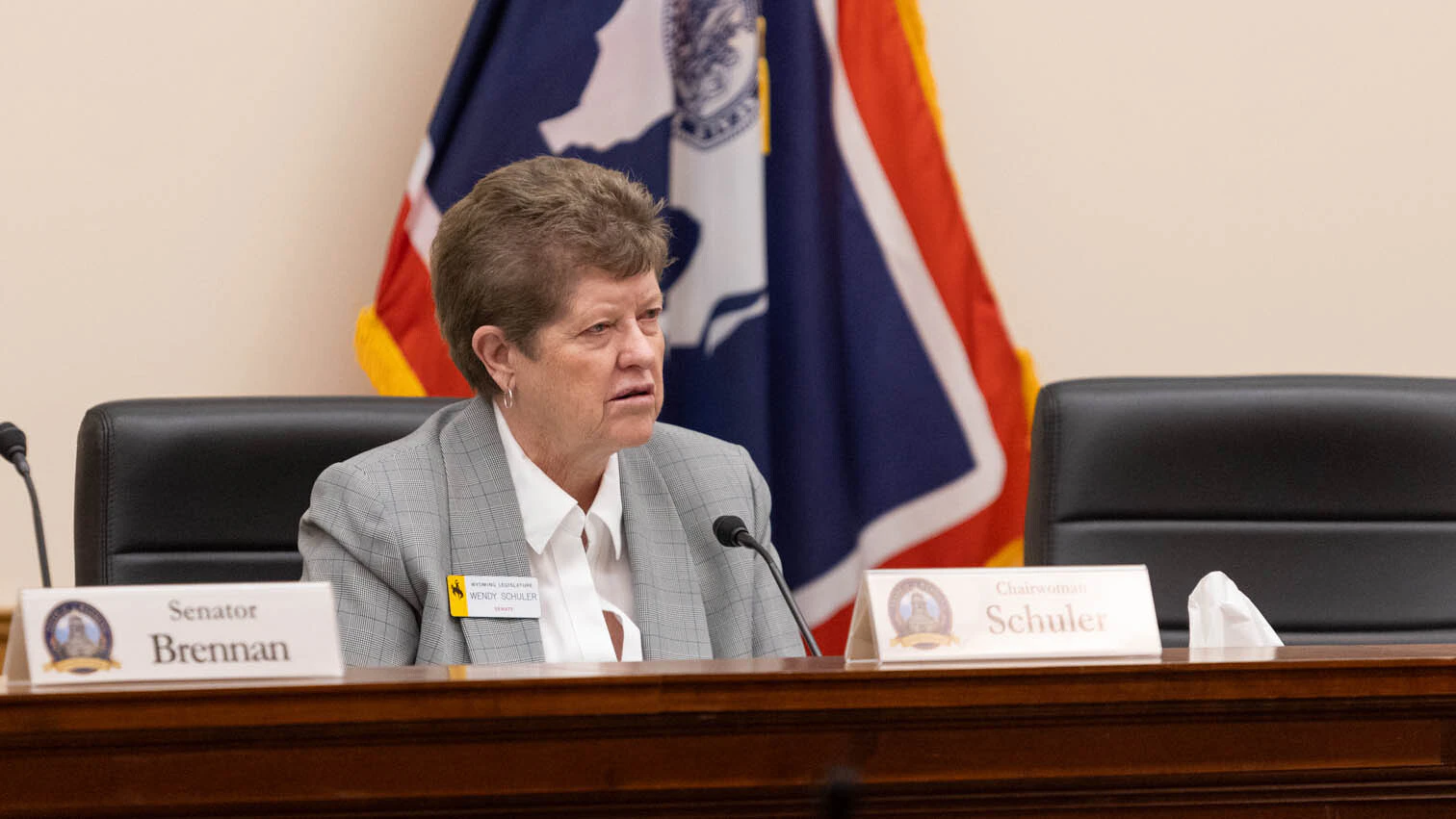 State Sen. Wendy Schuler, R-Evanston, in a committee meeting during the 2026 Wyoming legislative session.