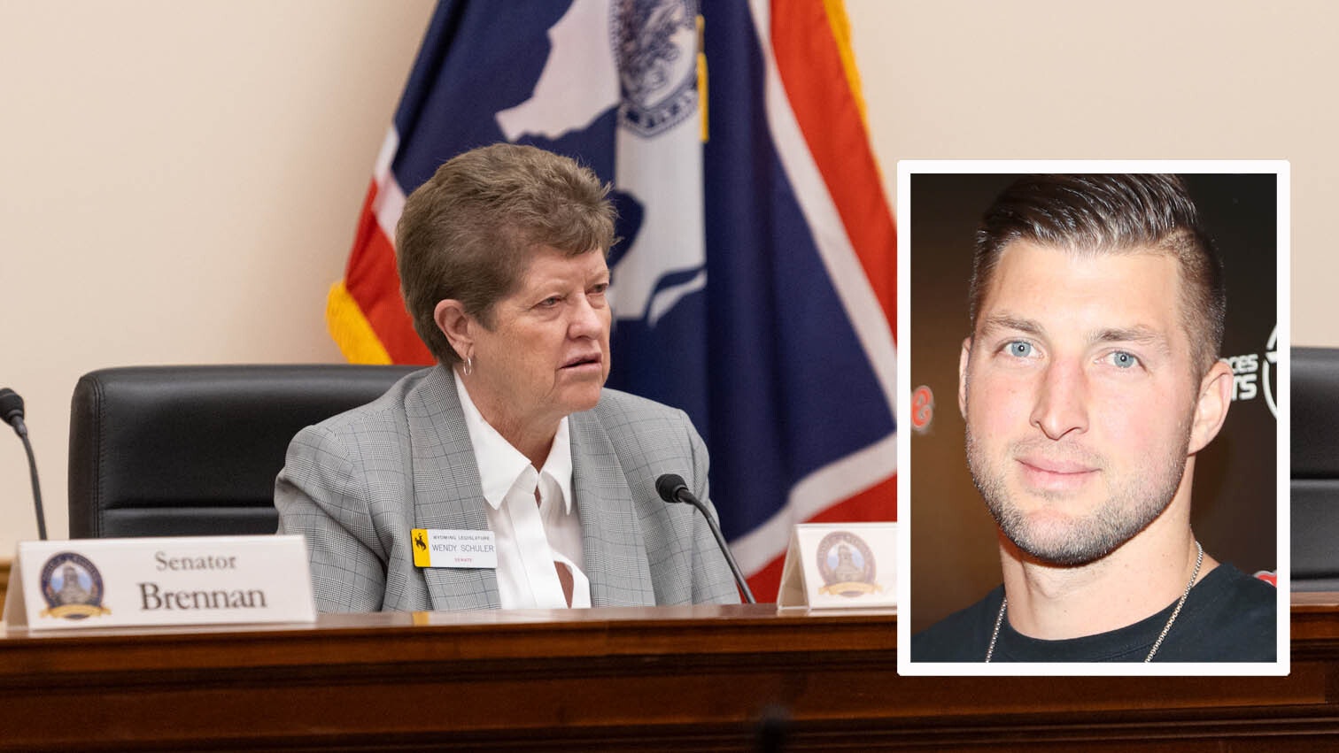 Senator Wendy Schuler at the Senate Education Committee Meeting discussing Tim Tebow rule