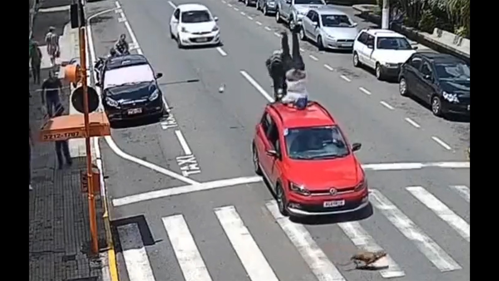 Whos at fault 3 8 23