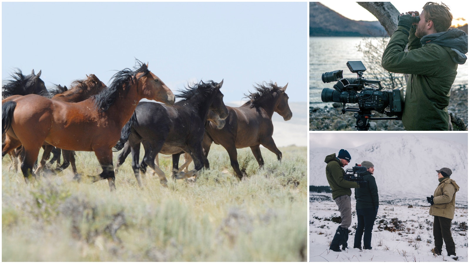 Wild horses and filmmakers 2 9 23