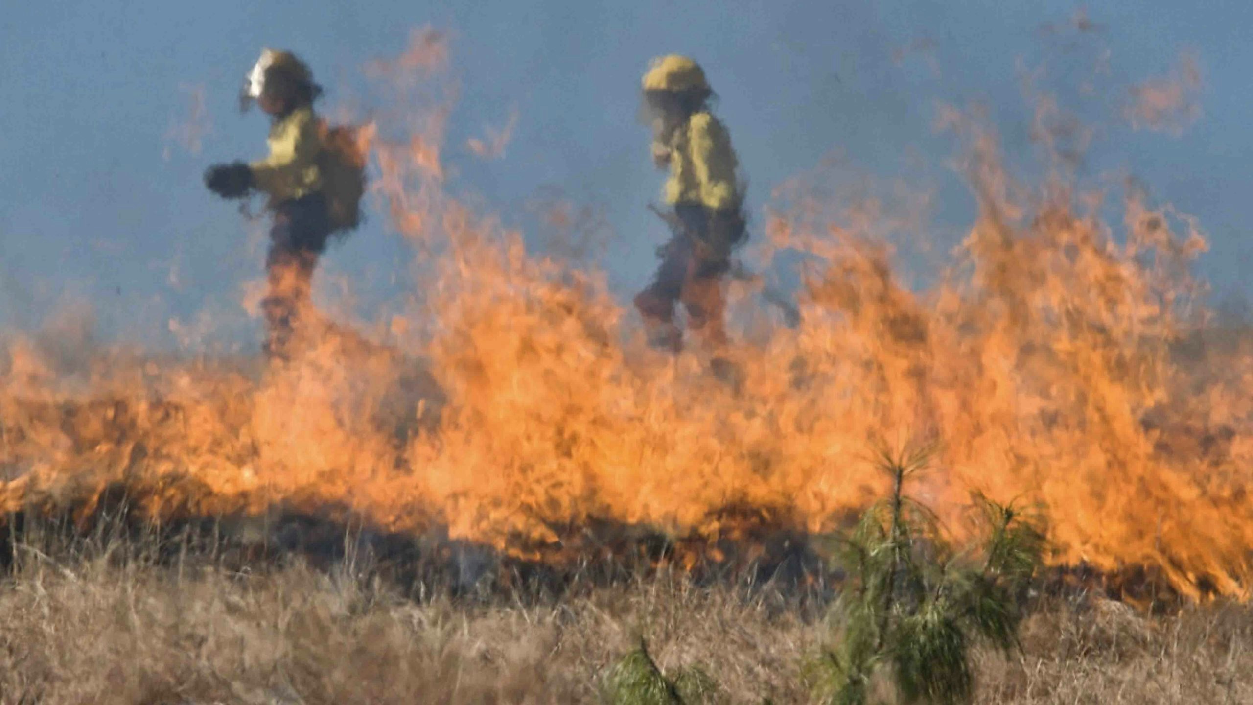 Wildland firefighter 3 29 22 scaled