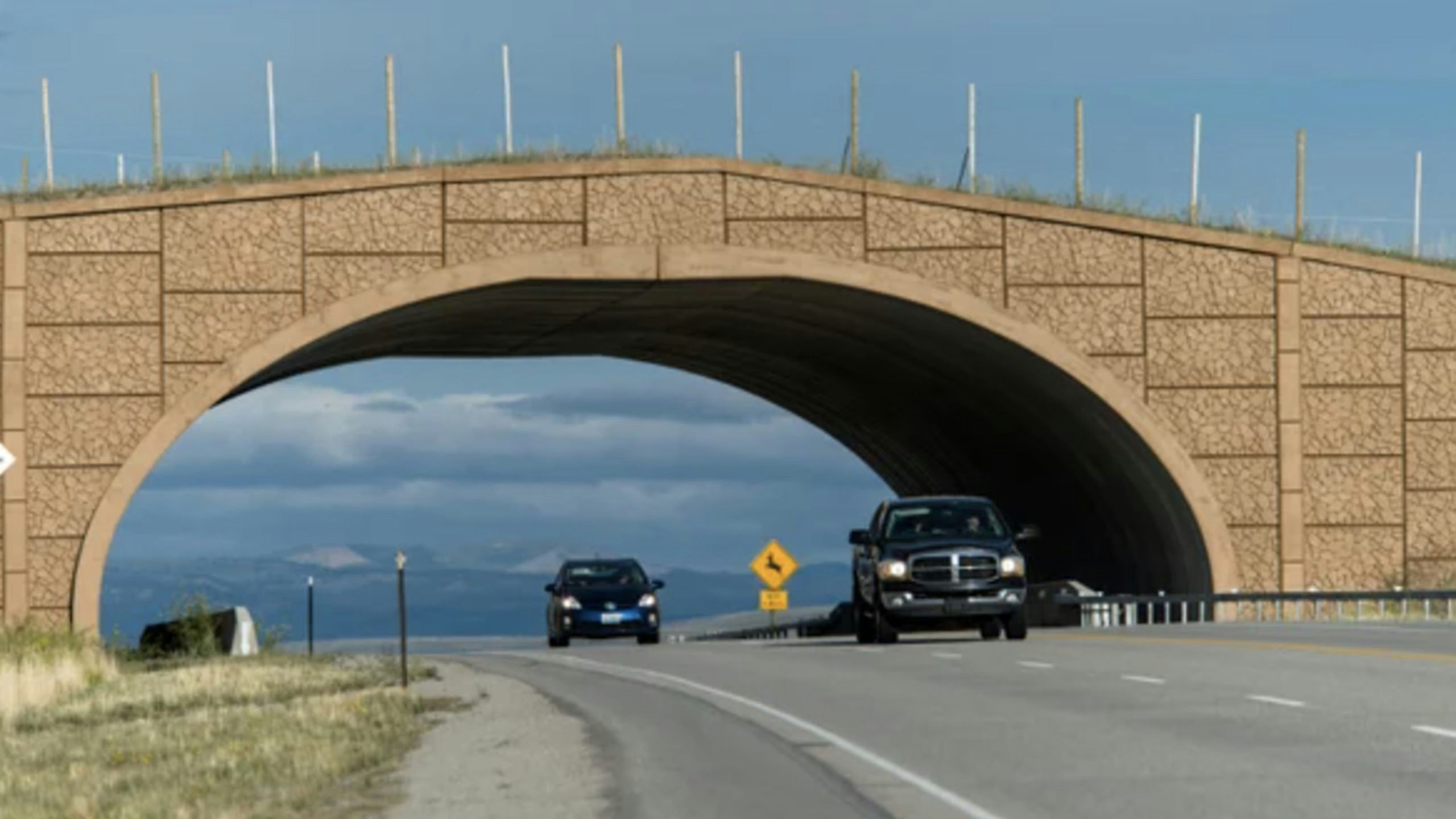 Wildlife crossing 5 13 22 scaled