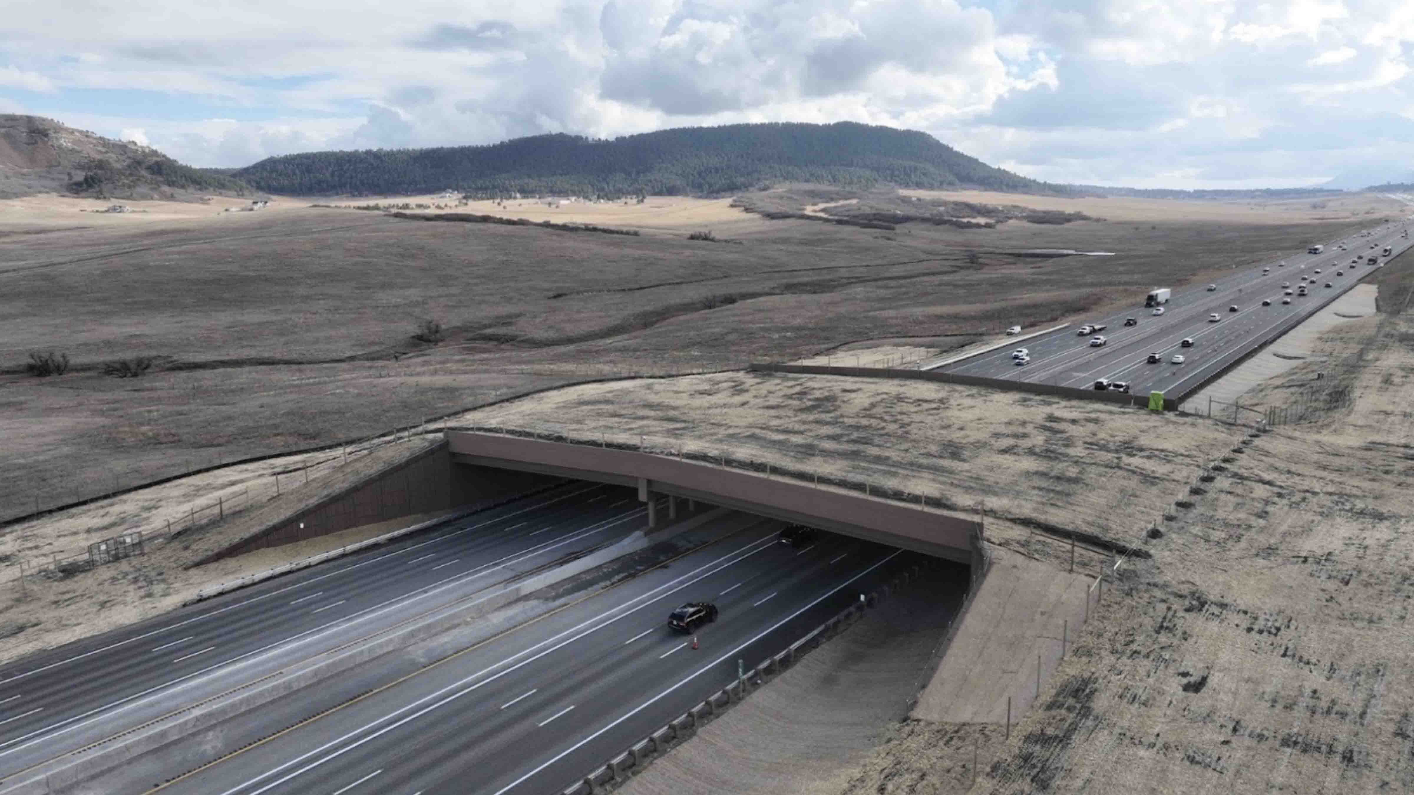 Colorado is touting the Greenland overpass along Interstate 25 south of Denver as one of the largest wildlife crossings in the world.