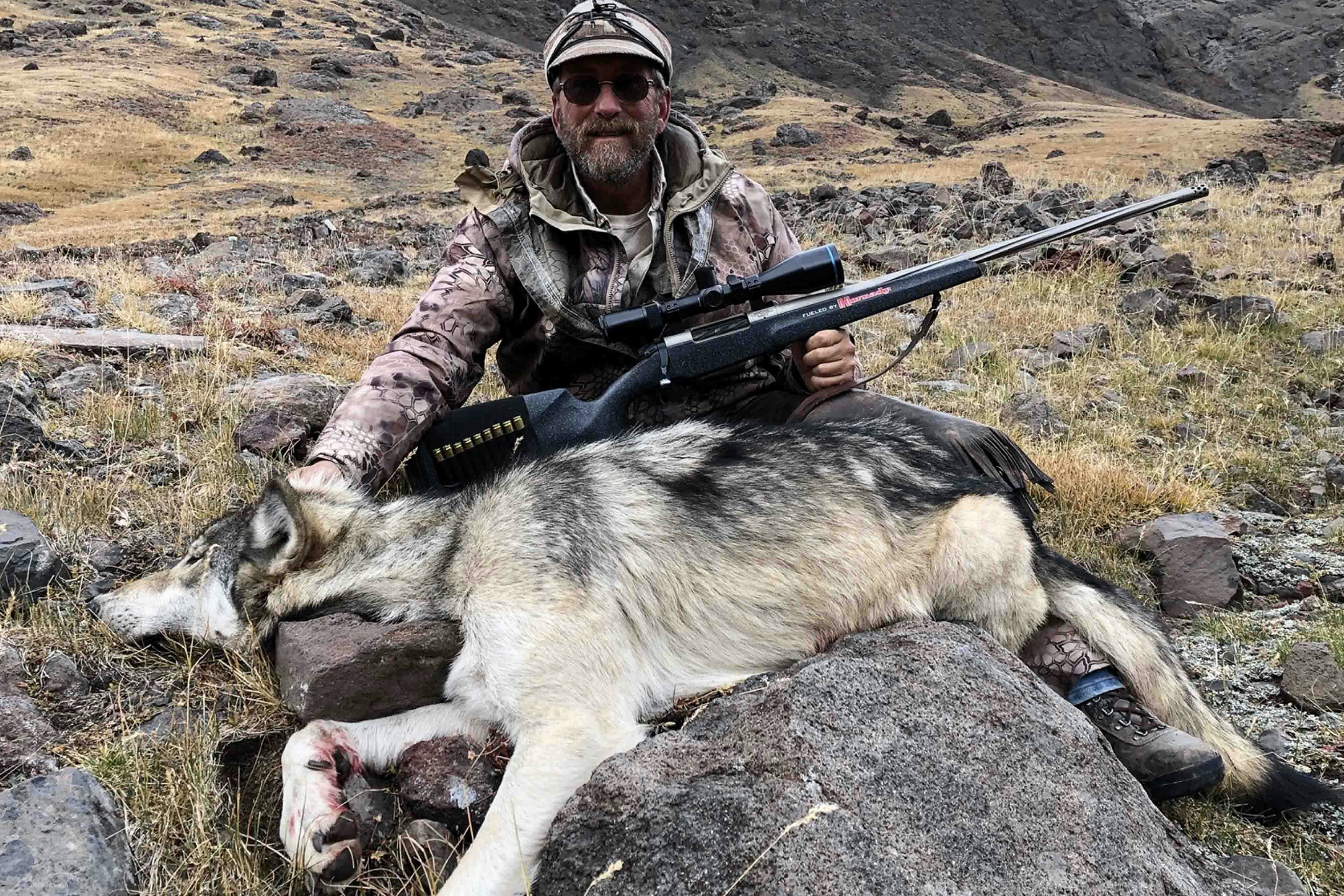Wolf hunt 2 29 24
