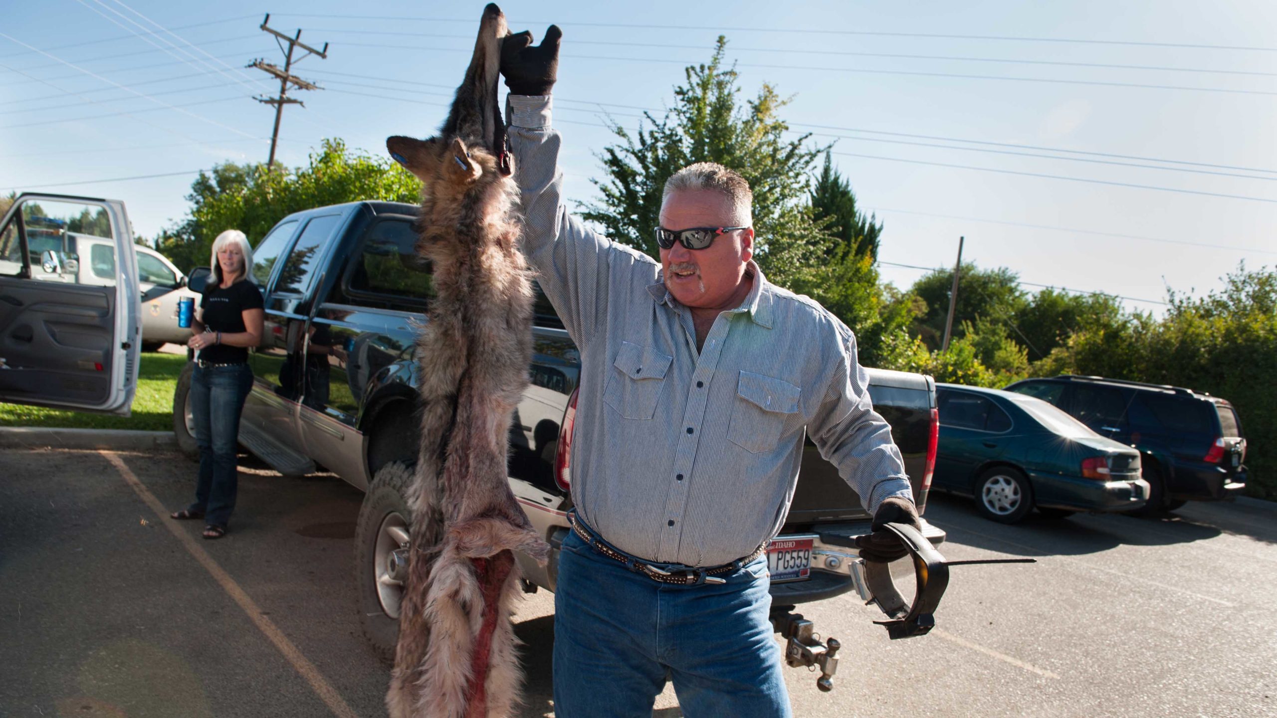 Wolf hunt 8 10 22 scaled