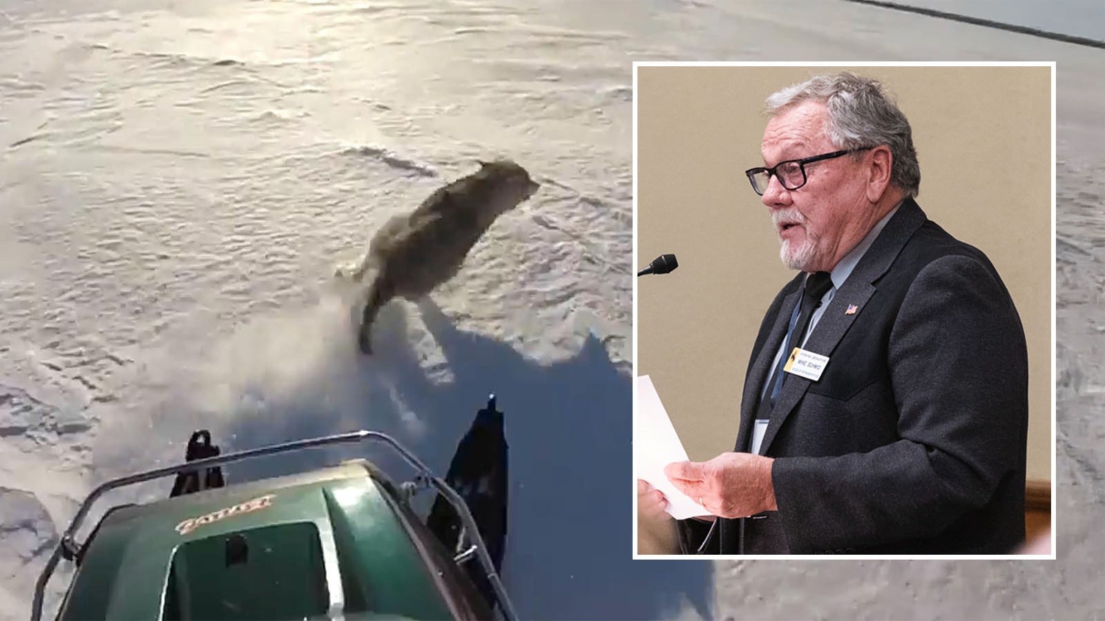 Two years after a wolf was run over with a snowmobile in Sublette County sparked worldwide outrage, animal welfare advocates are still trying to get the practice banned in Wyoming. But there are long odds getting that done in this year’s budget session. State Rep. Mike Schmid, R-La Barge, has supported banning the practice.