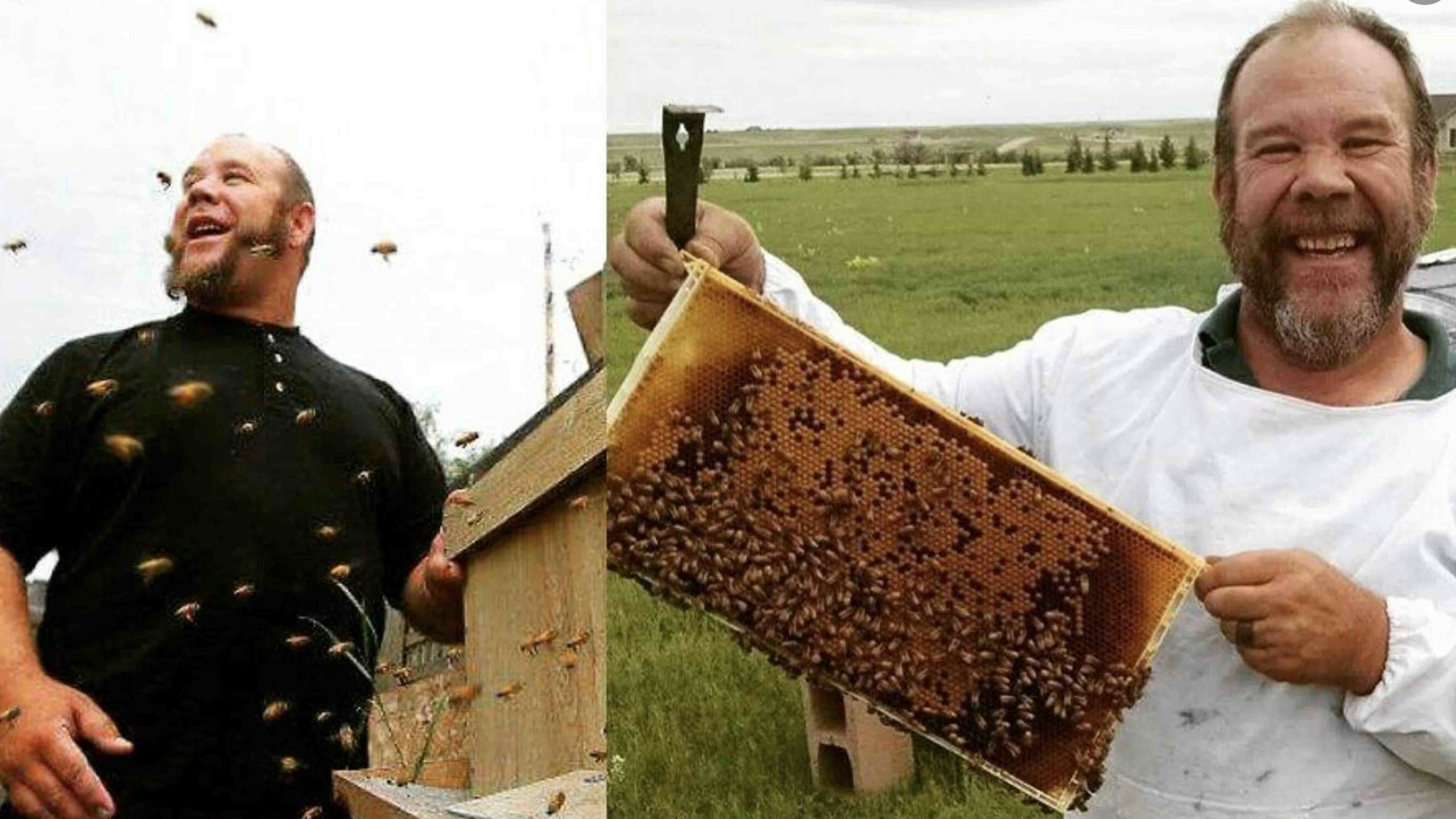 Wyo beekeeper 4 5 22 scaled