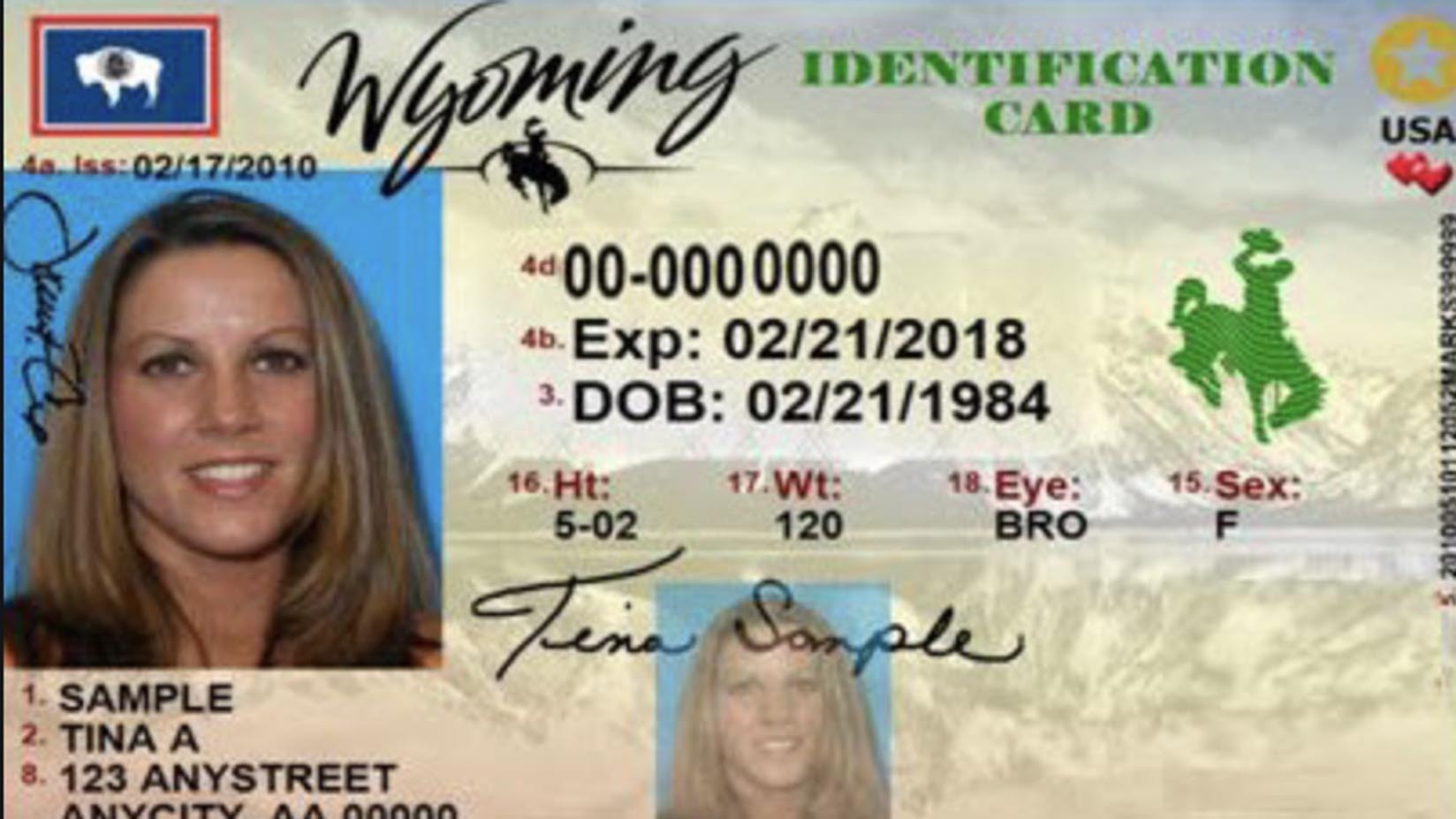 Wyo license for cowboy state daily