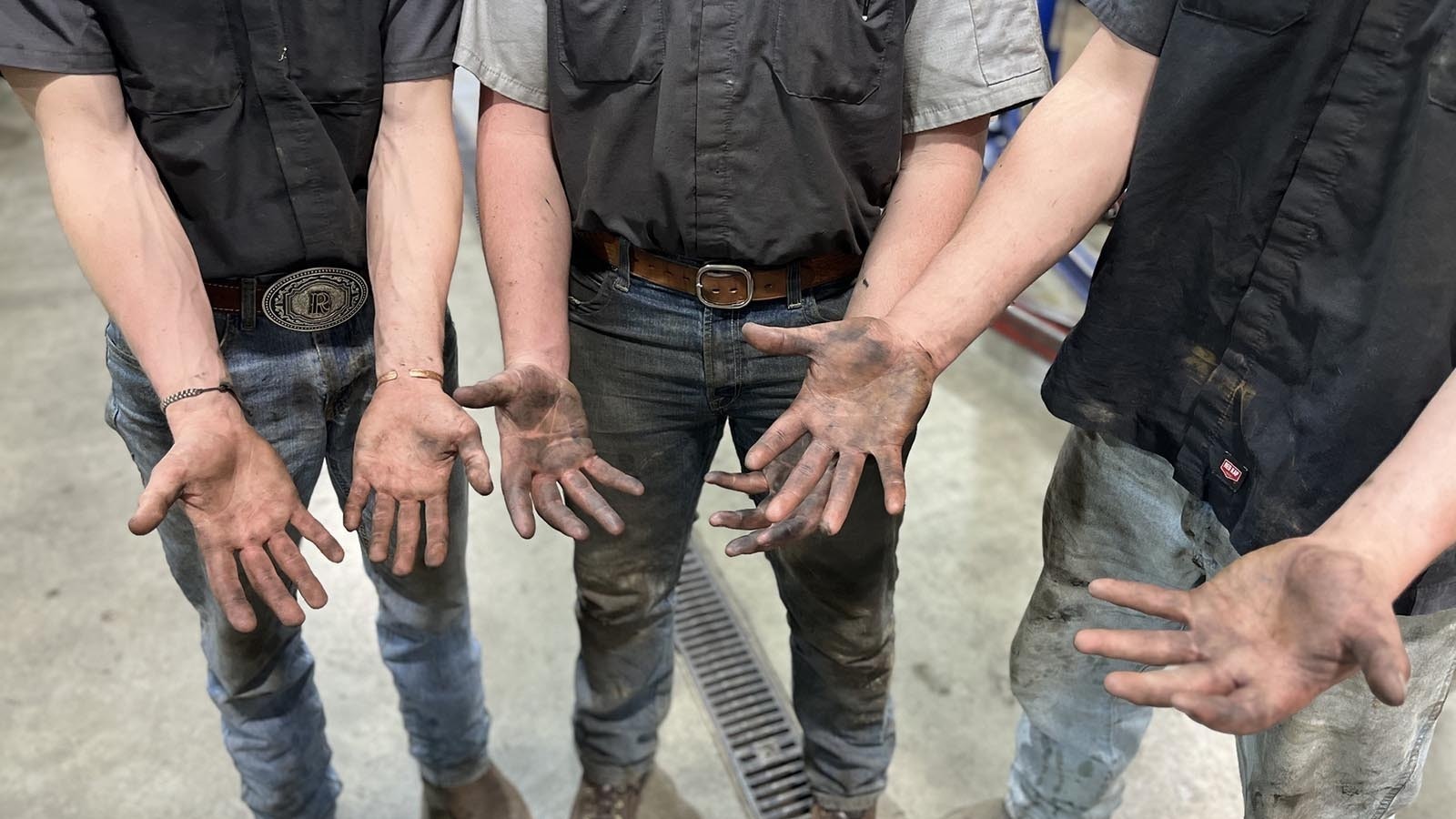 With voids of unfilled technical education jobs in Wyoming — like welders, plumbers and construction workers — the state needs to adjust its education system to those fields. That was the message from the state’s blue-collar sector to legislators Tuesday.
