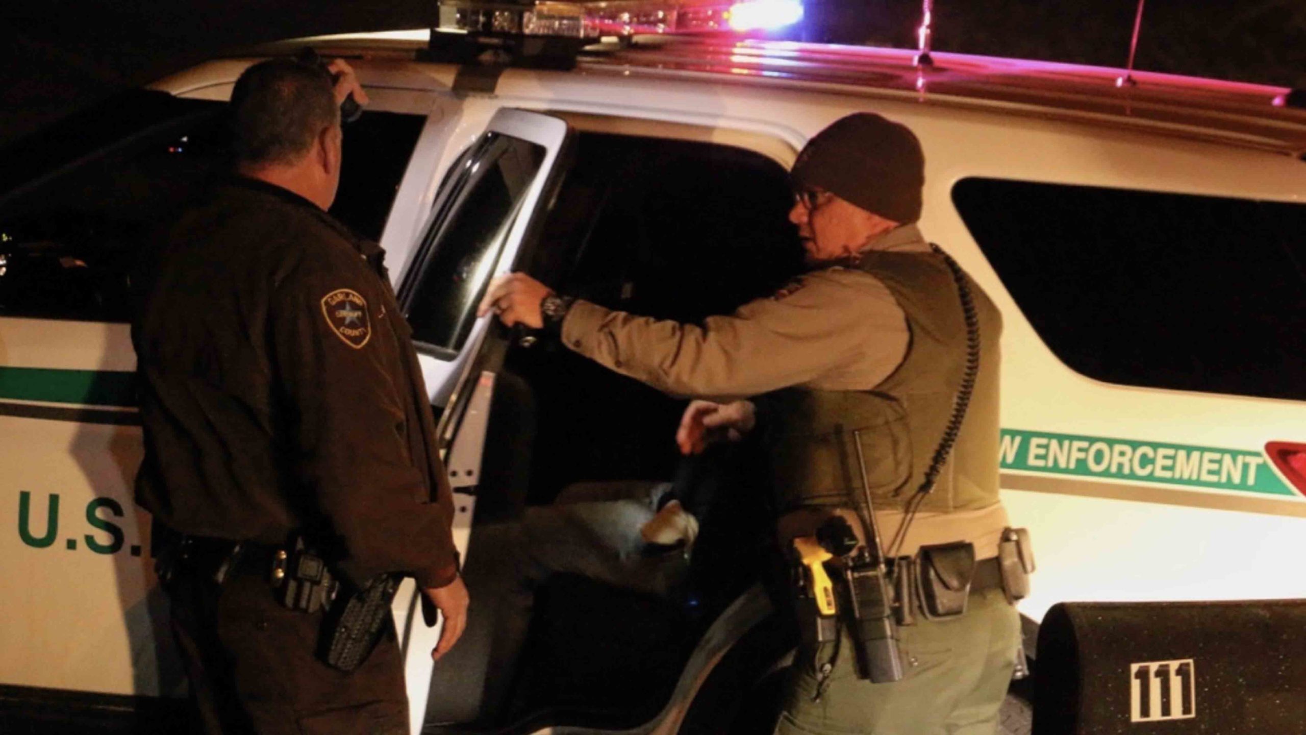 Yellowstone arrest scaled