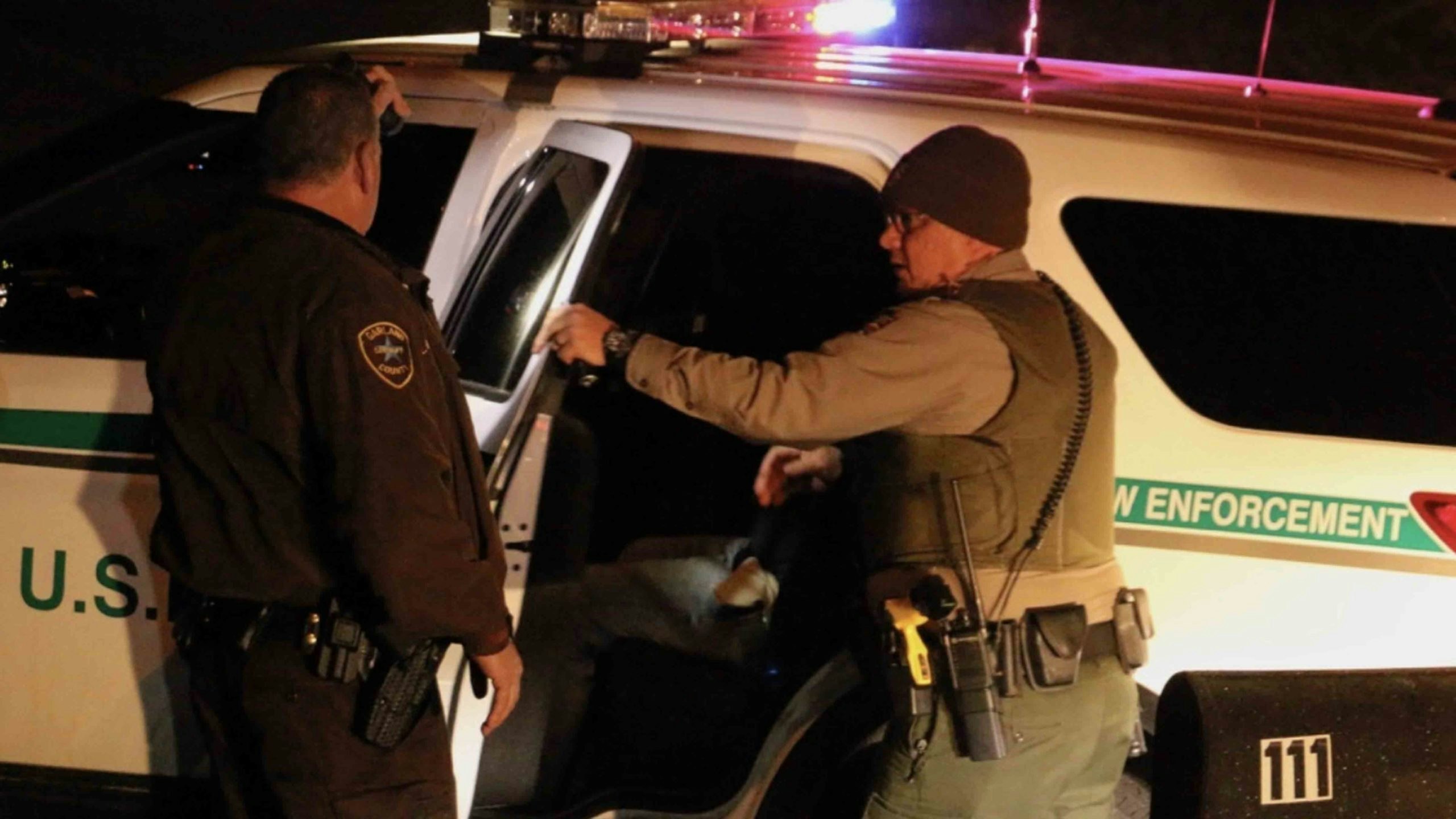 Yellowstone arrest scaled