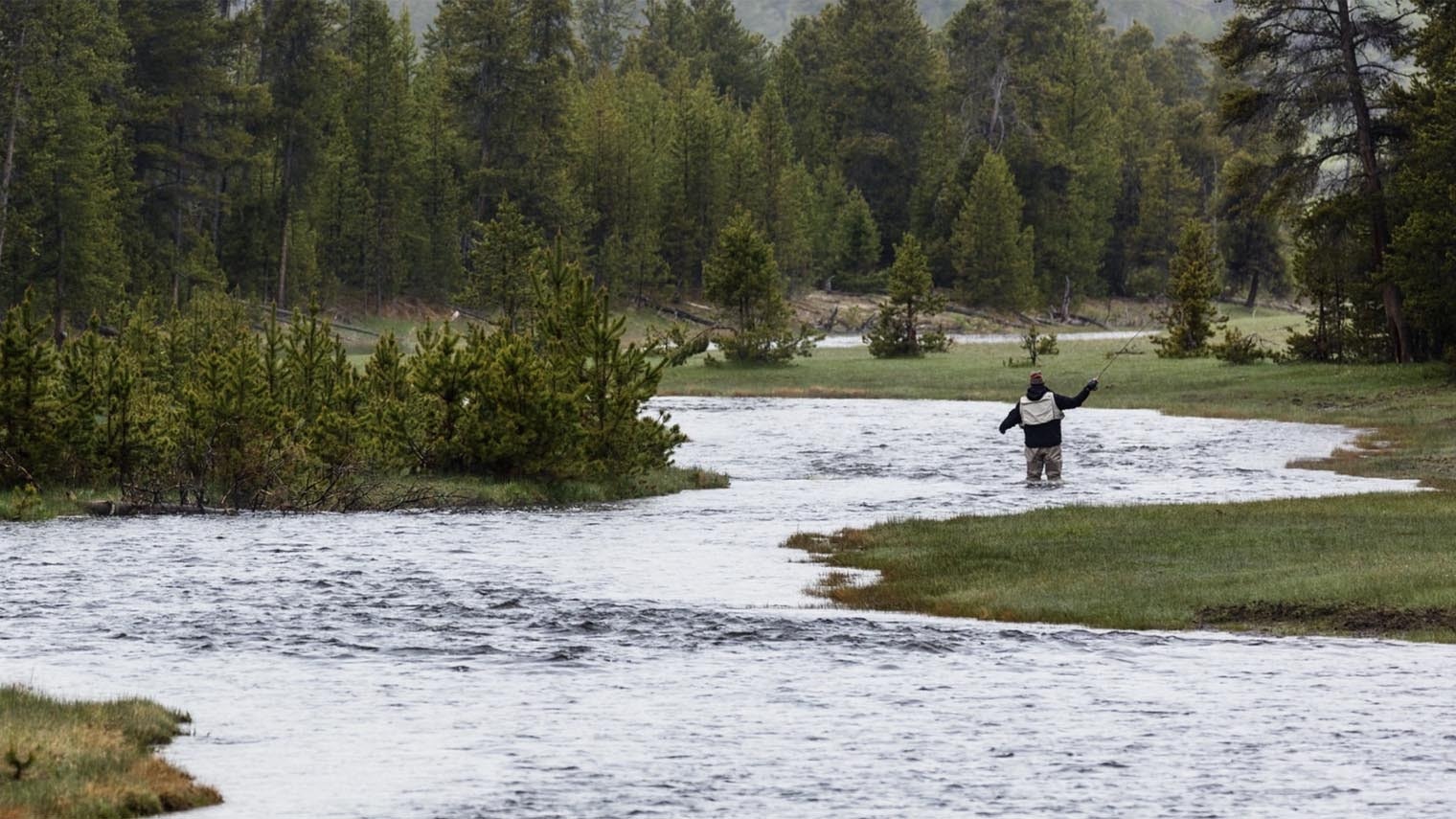 Yellowstone fishing