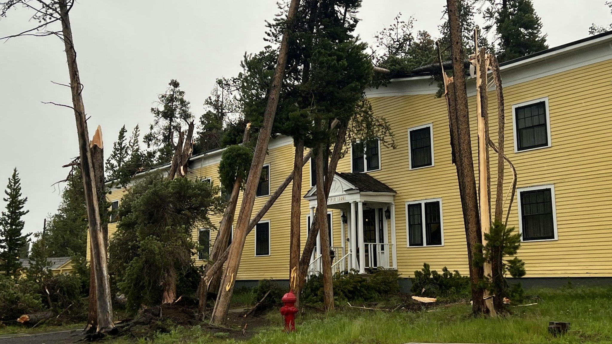 Powerful Storm Topples Trees At Lake Yellowstone Hotel In Yellowstone