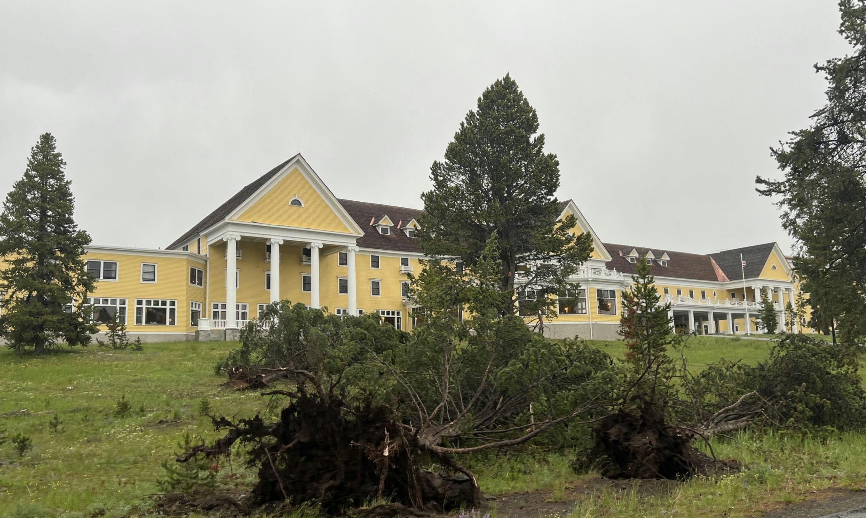Powerful storm downs trees at the Lake Yellowstone Hotel on July 3, 2023