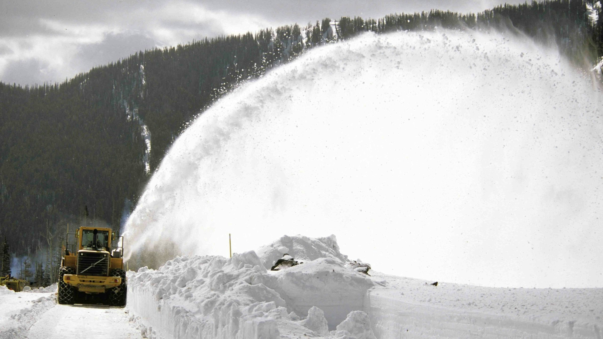 Yellowstone snowplow 4 13 22 scaled
