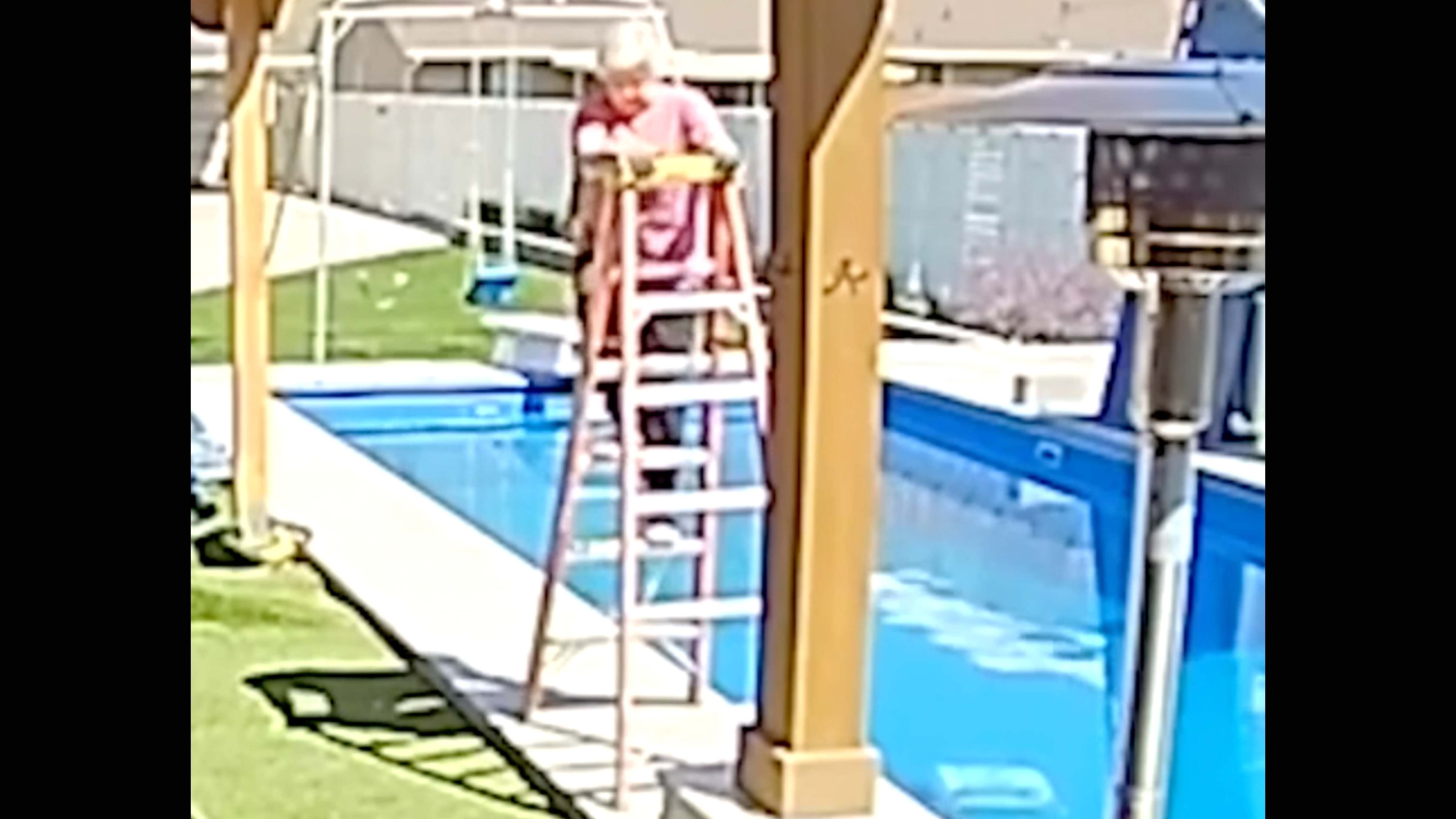 You still here 1 11 26