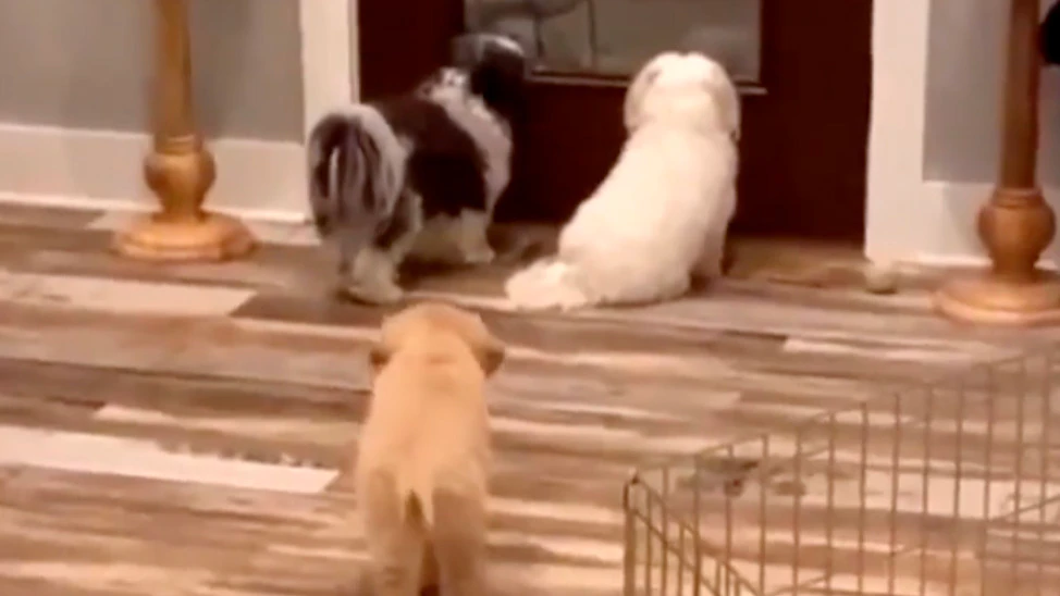 You still here 1 15 23