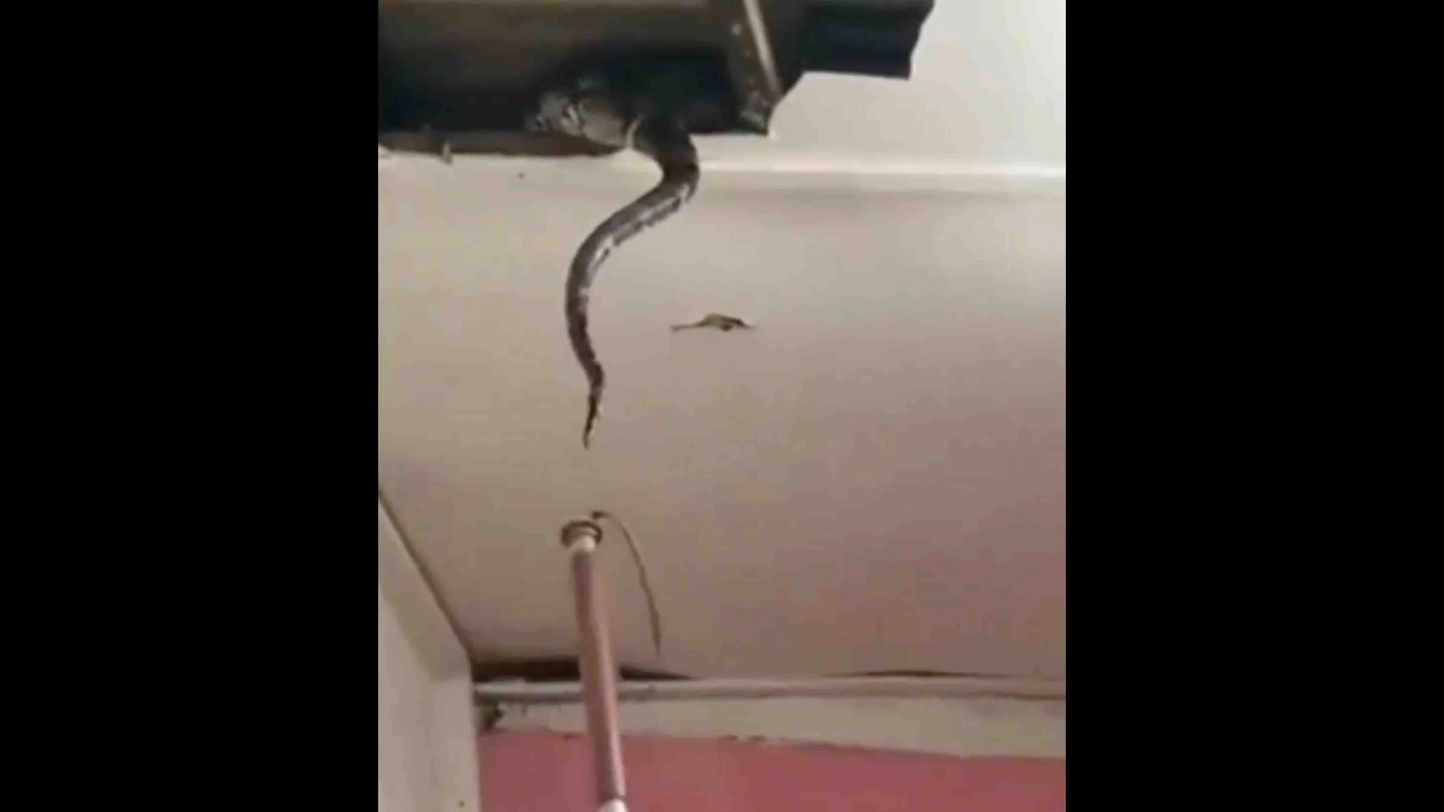 You still here 1 22 24